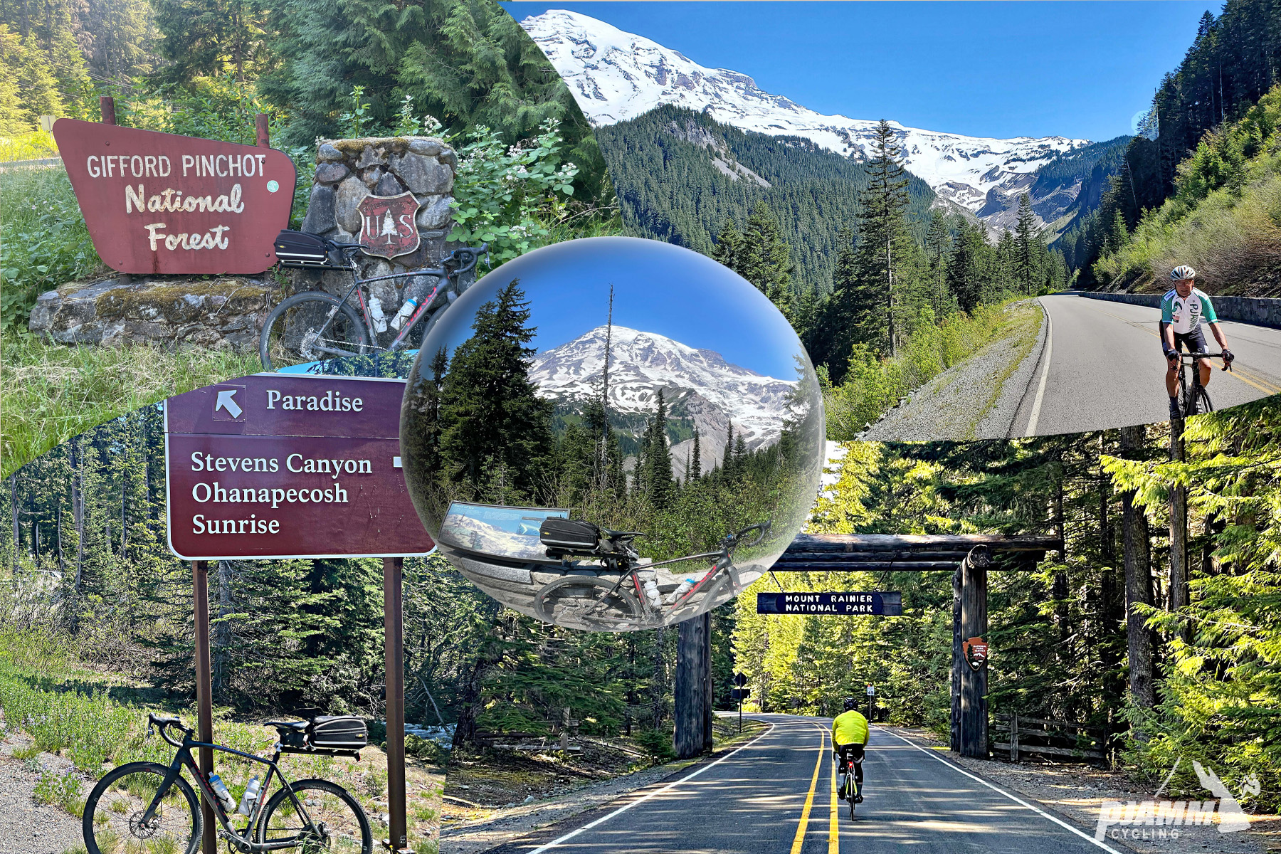 photo collage, bike parked in front of NPS sign for Gifford Pinchot National Park, bike parked in front of roadsign for Paradise and Stevens Canyon, views of snow-covered Mt. Rainier from road bike, PJAMM Cycling logo in corner