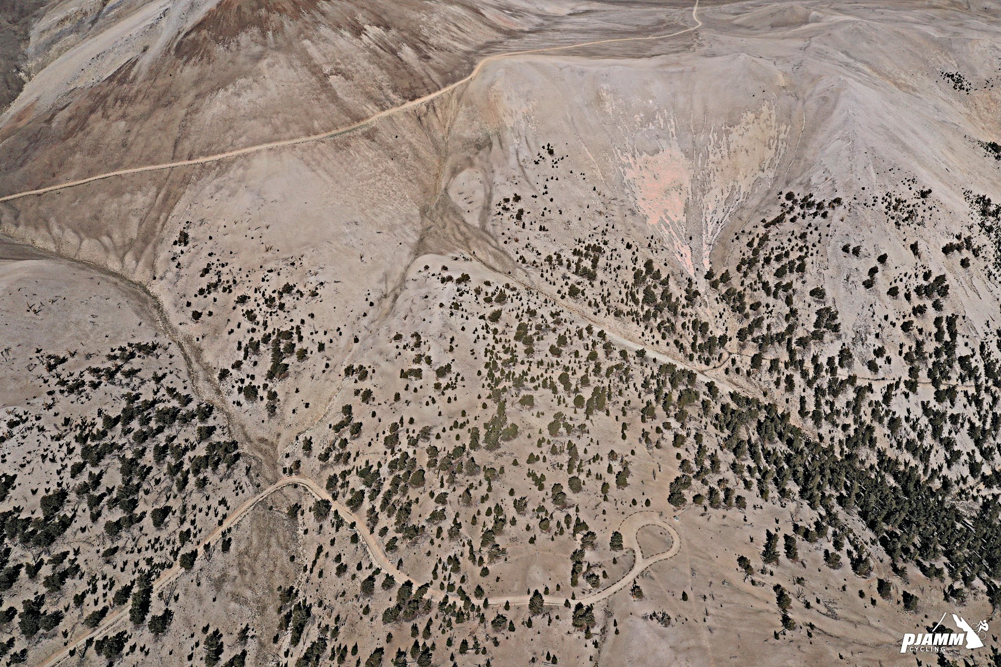 White Mountain Peak from Big Pine, California - Patriarch Grove from above