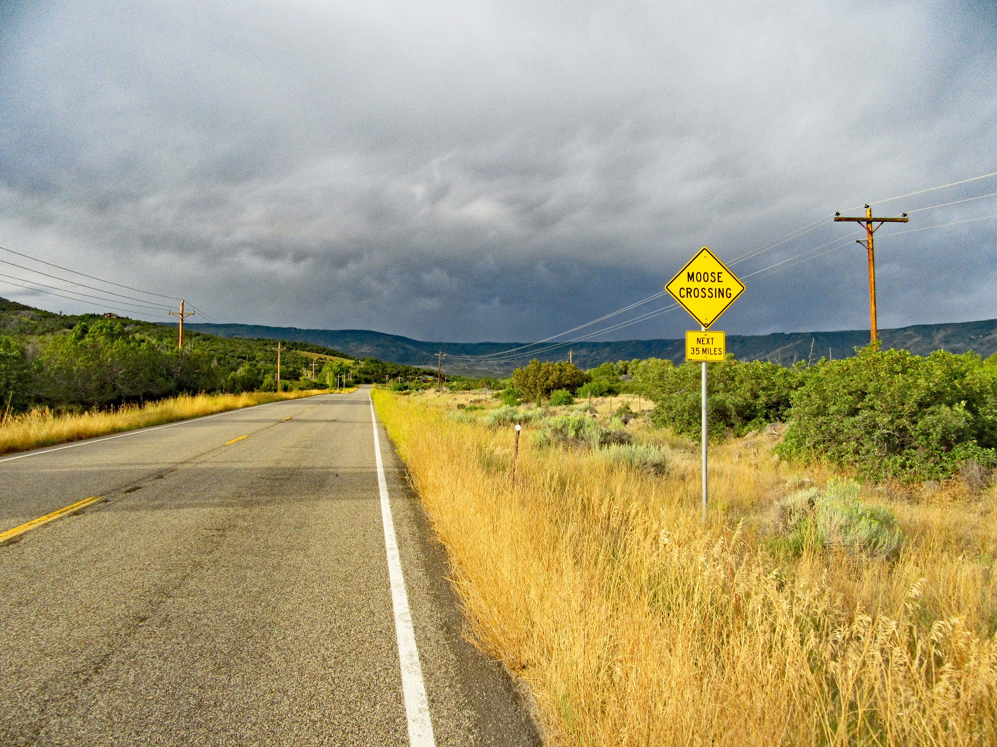 Bicycling Grand Mesa North - Moose Crossing sign