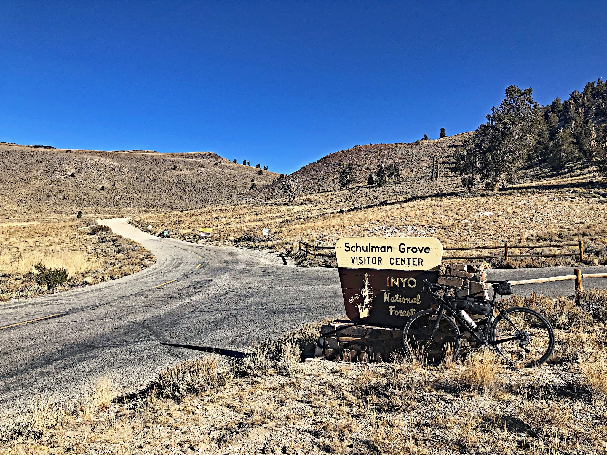 Cycling White Mountain, California - bike parked in front of NPS sign for Schulman Grove Visitor Center, Inyo National Forest