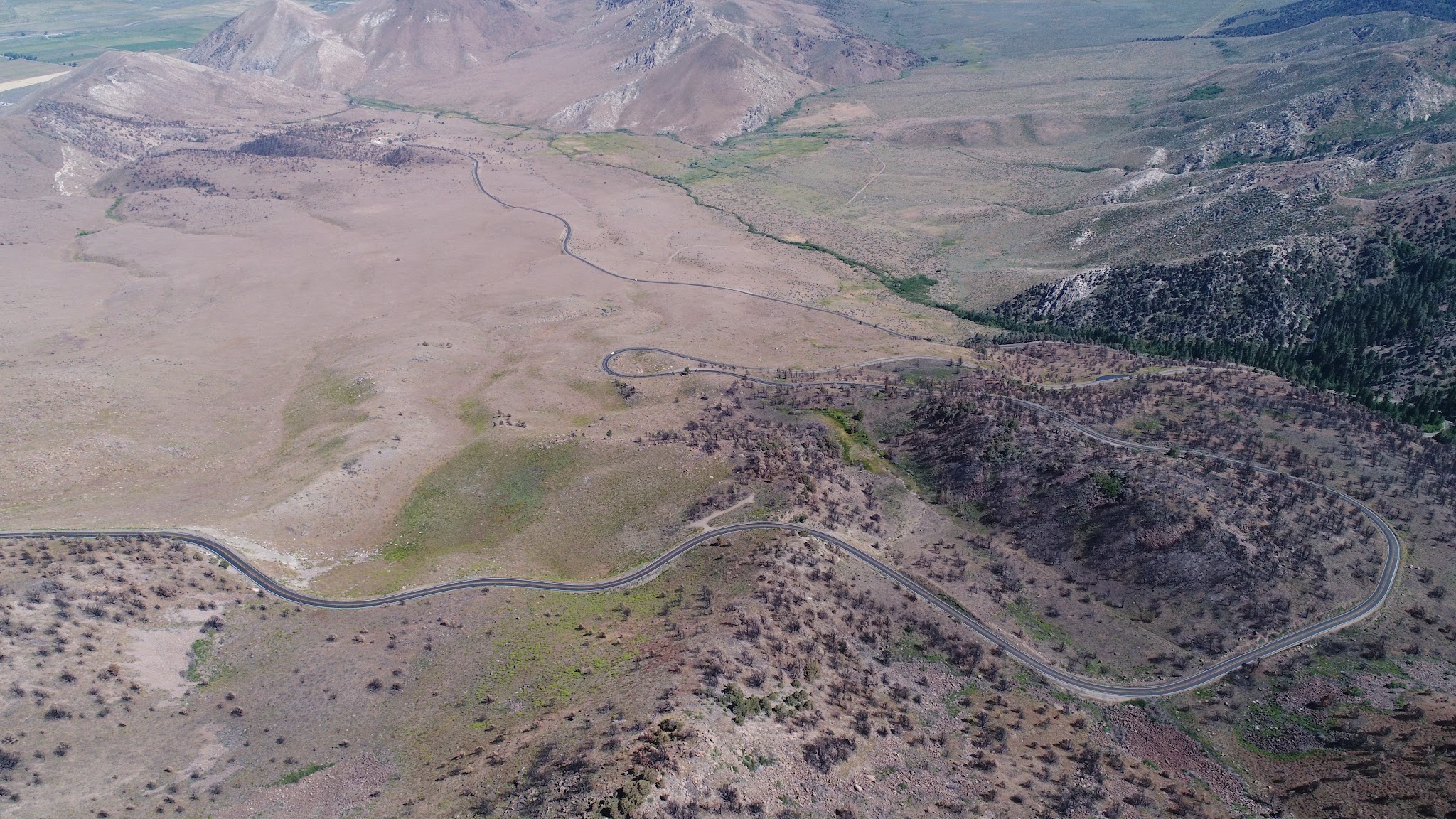Bike climb of Monitor Pass East  - aerial drone photo of Hwy 89
