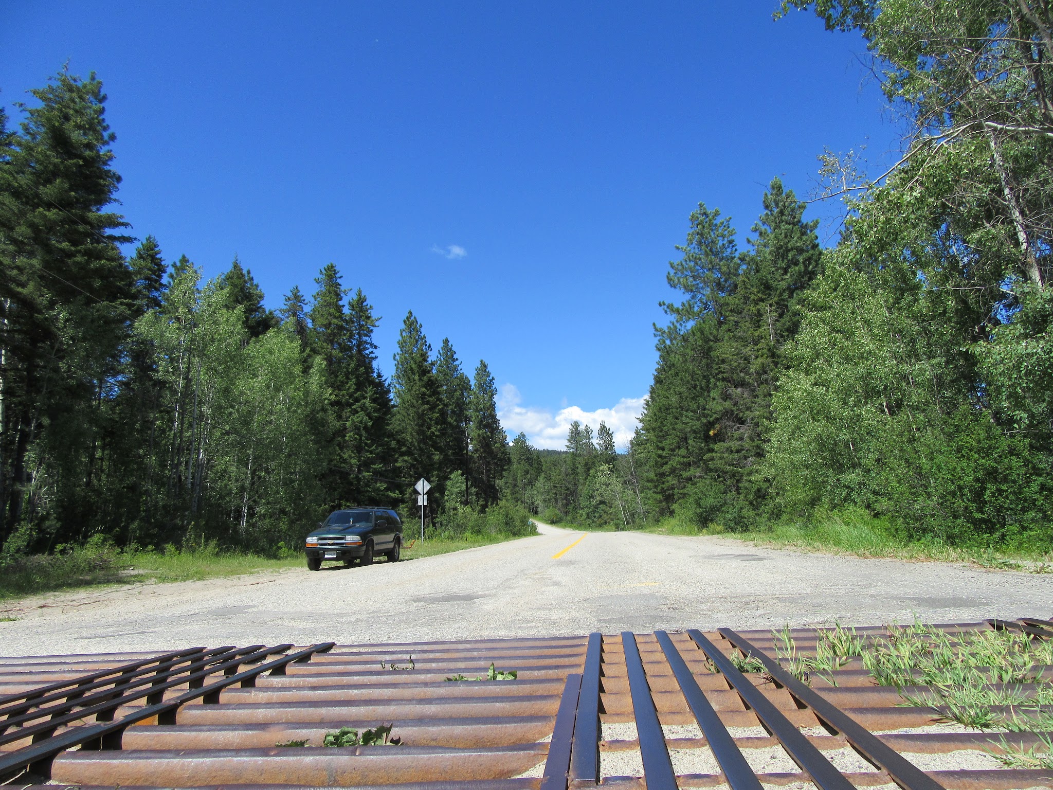 Climbing Crystal Avenue by bike - cattle guard and roadway