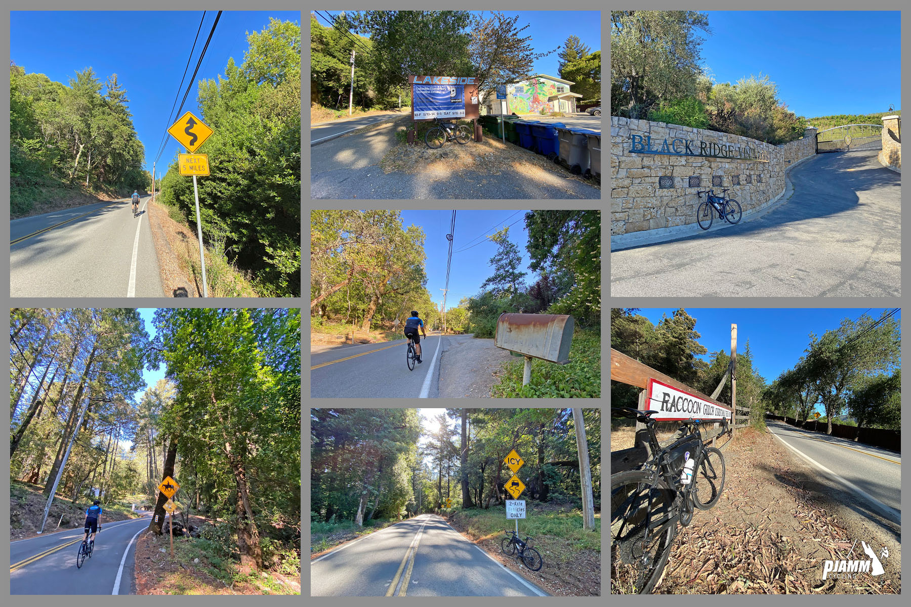 Views along the first half of the climb, including forested roads, bike parked next to stone wall reading Black Ridge