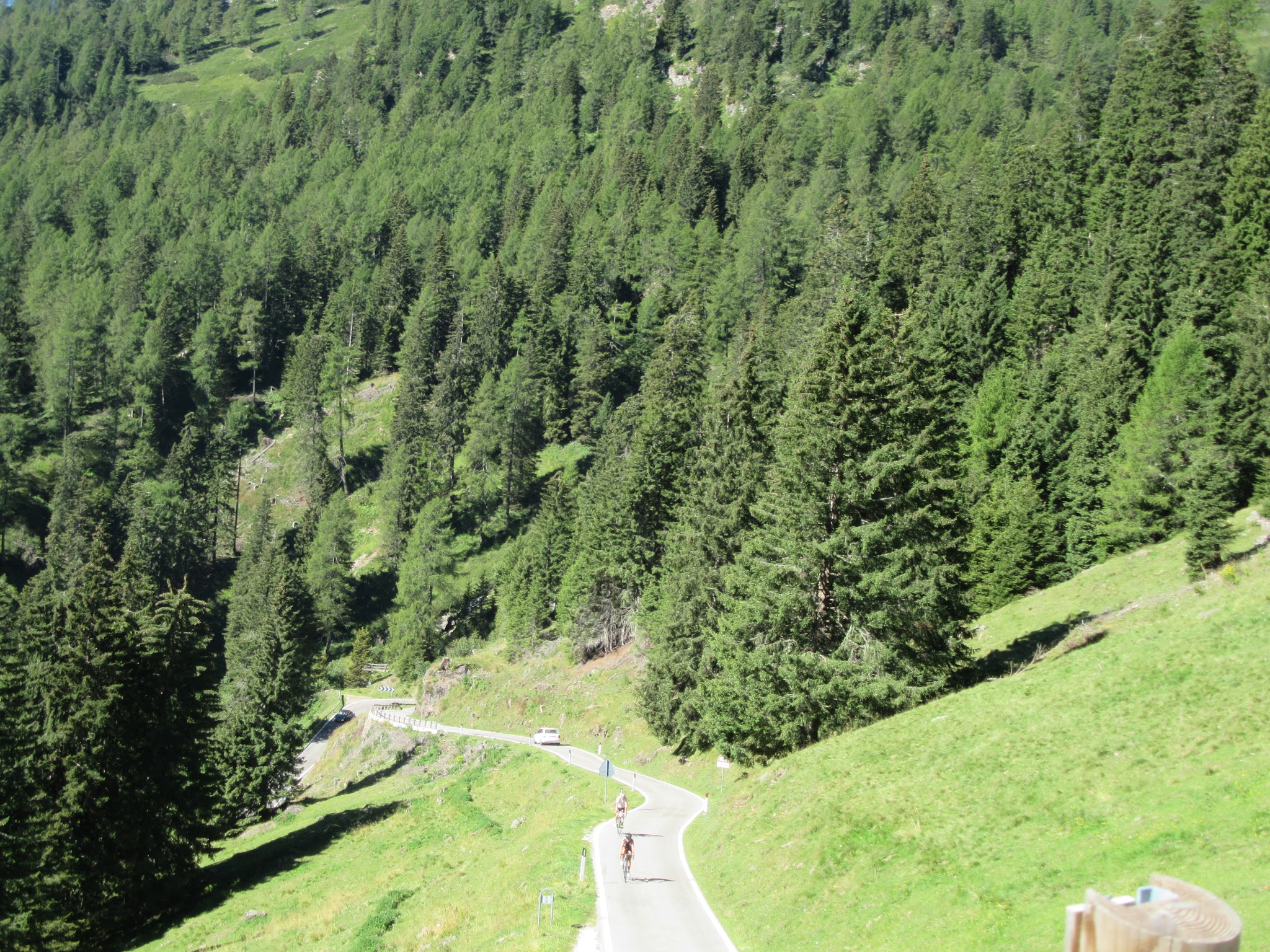 IMG_5100.JPG