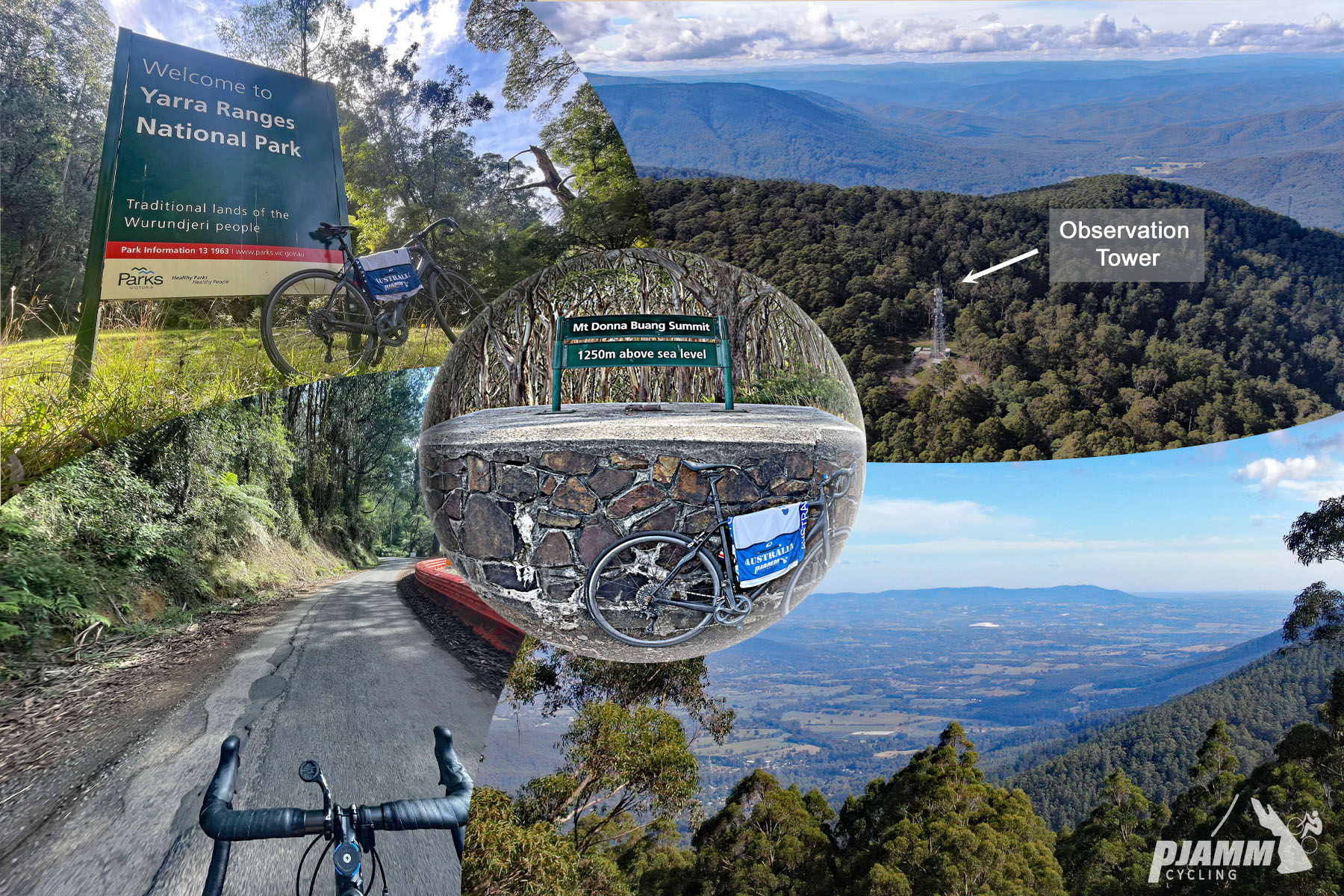 photo collage shows signs and view points in Yarra Ranges National Park