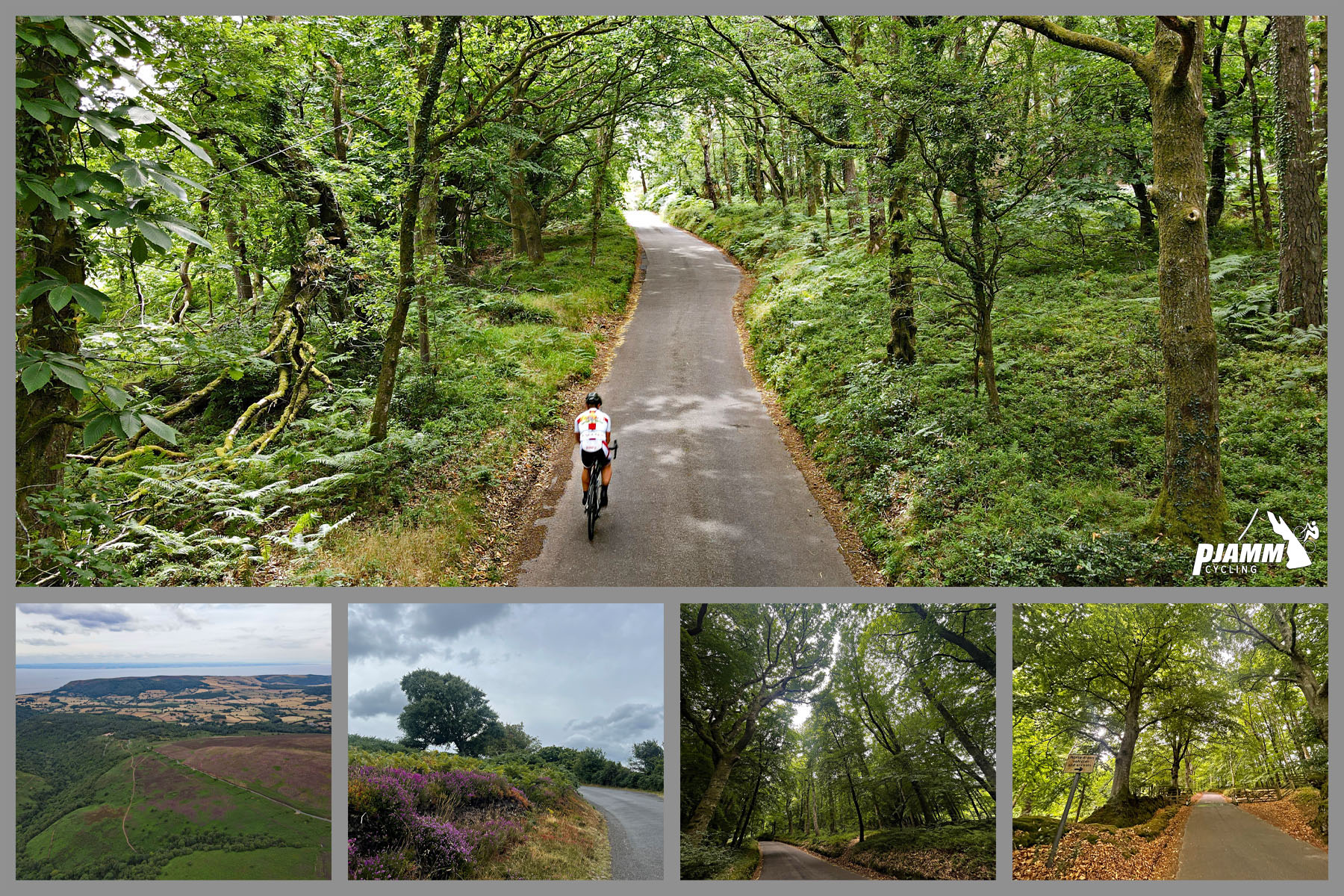 photo collage shows PJAMM Cyclist riding on densely forested narrow country road