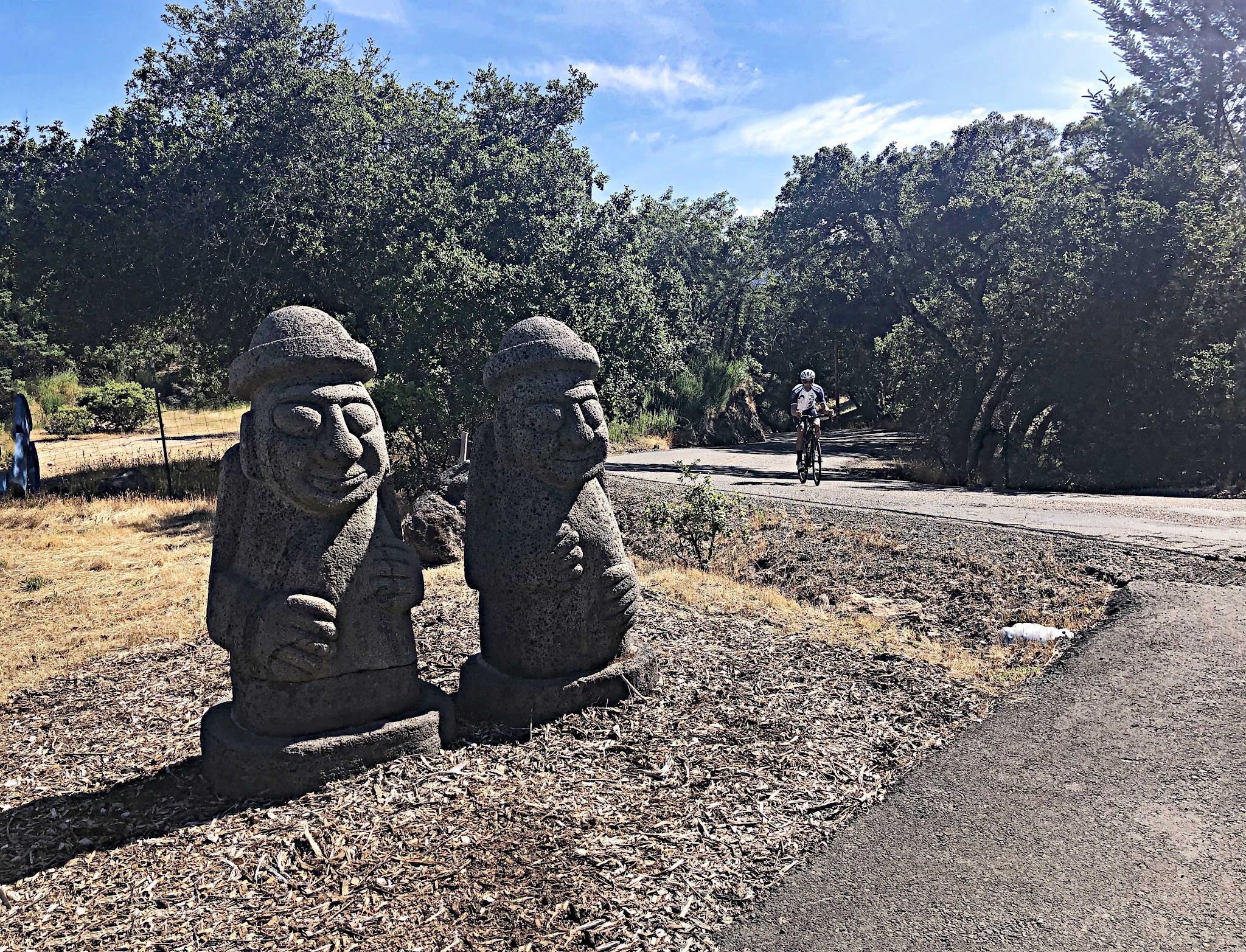 Cycling Sonoma County - Trinity Road bike climb Cycling Sonoma County - Trinity Road - cyclist riding bike on road past statues