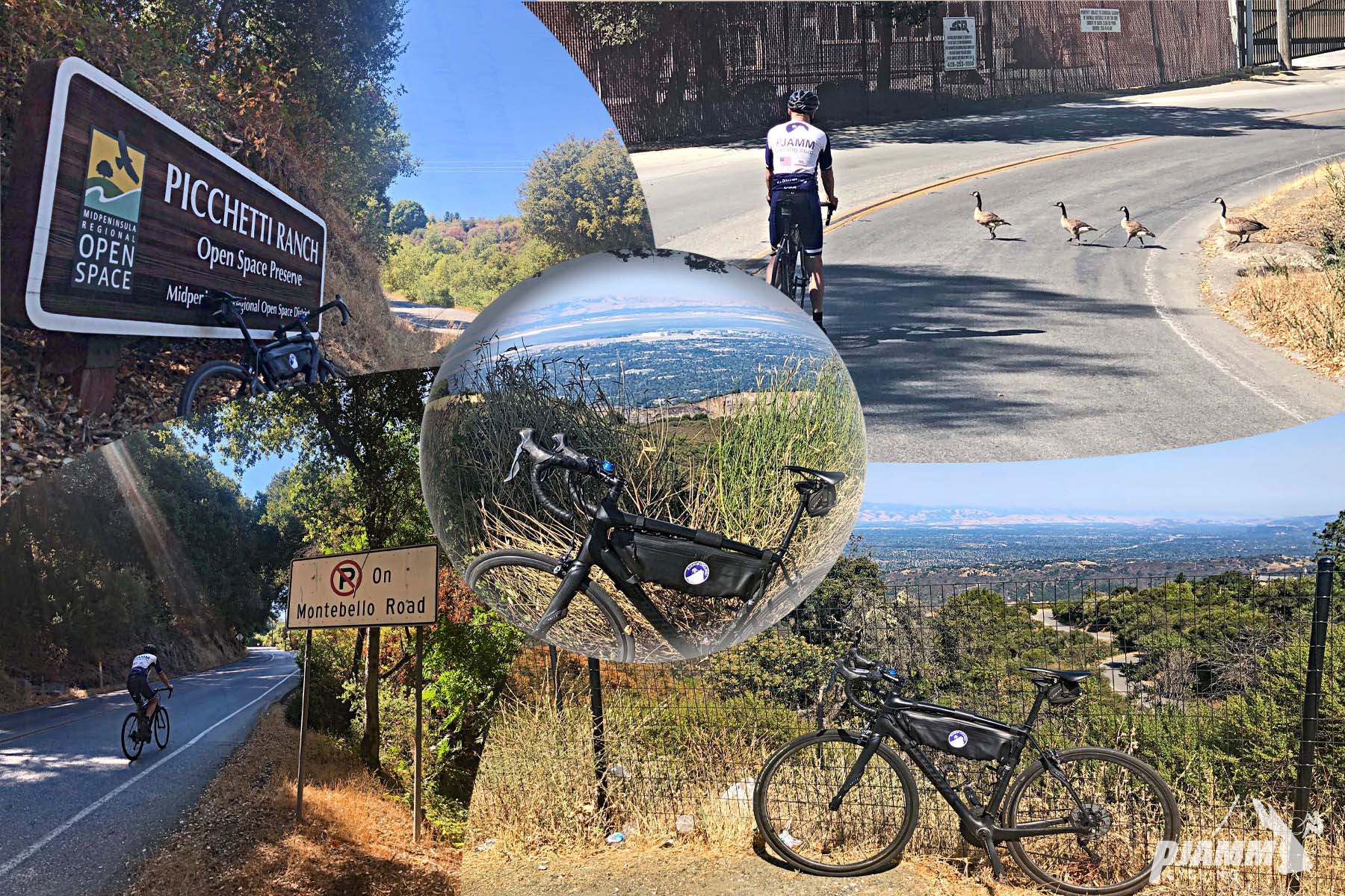 Cycling Montebello, Santa Cruz Mountains, California - photo collage, PJAMM Cycling logo in corner, cyclist riding in street with family of geese crossing in front of him, road bike parked along fence line on hillside overlooking Silicon Valley, cyclist riding uphill along roadway next to road sign noting no parking on Montebello Road, bike parked against  Midpeninsula Regional Open Space sign for Picchetti Ranch, 