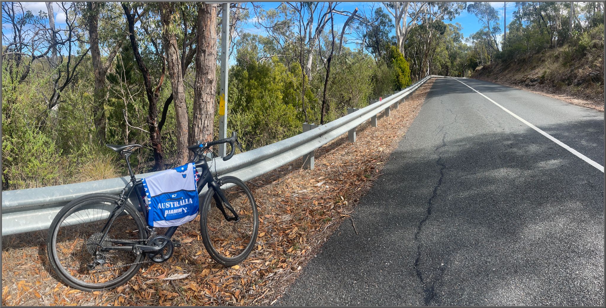 bike and PJAMM Cycling Australia jersey lean against guardrail along roadside shrouded in eucalyptus trees