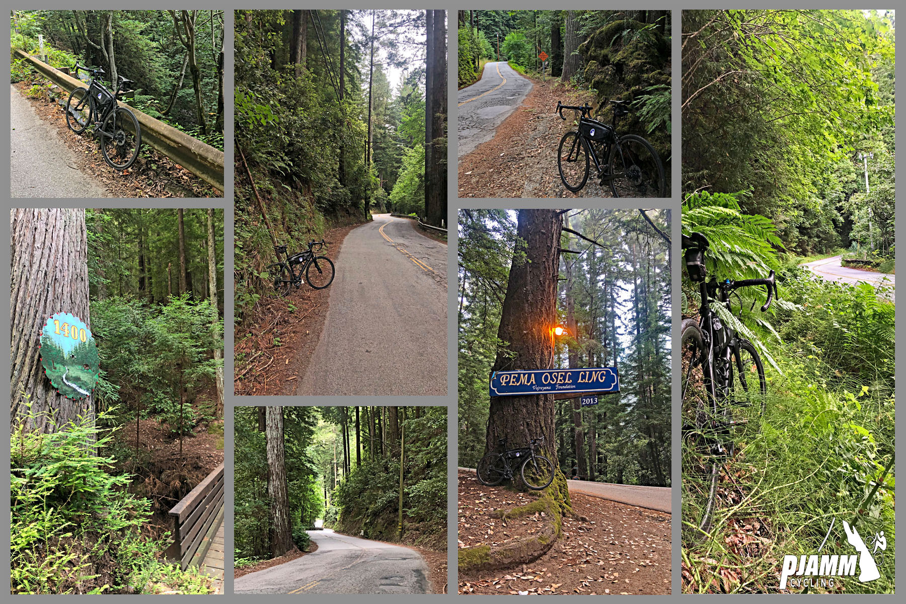 Cycling Eureka Canyon, Santa Cruz Mountains - photo collage, dense redwood forestation along narrow winding road, blue sign reading "PEMA OSEL LING", PJAMM Cycling logo in corner