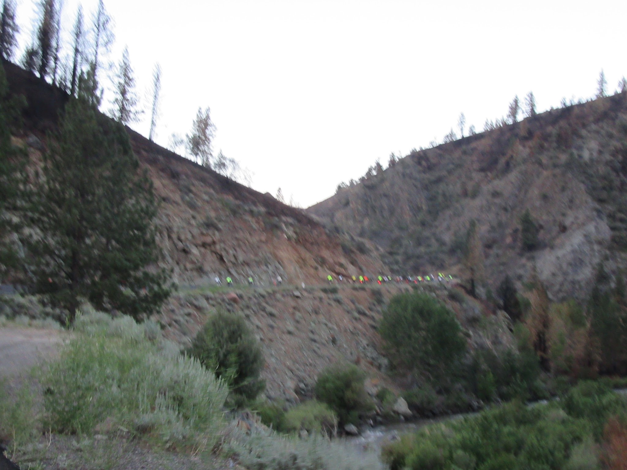 Monitor Pass West - Lower Section Biking up Monitor Pass West - Death Ride cyclists climbing lower section