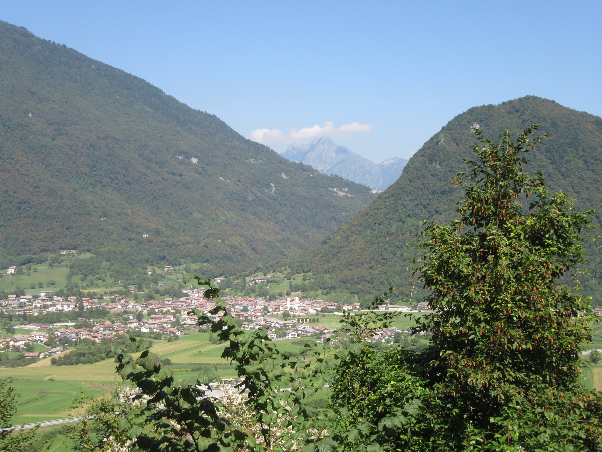 IMG_5780.JPG