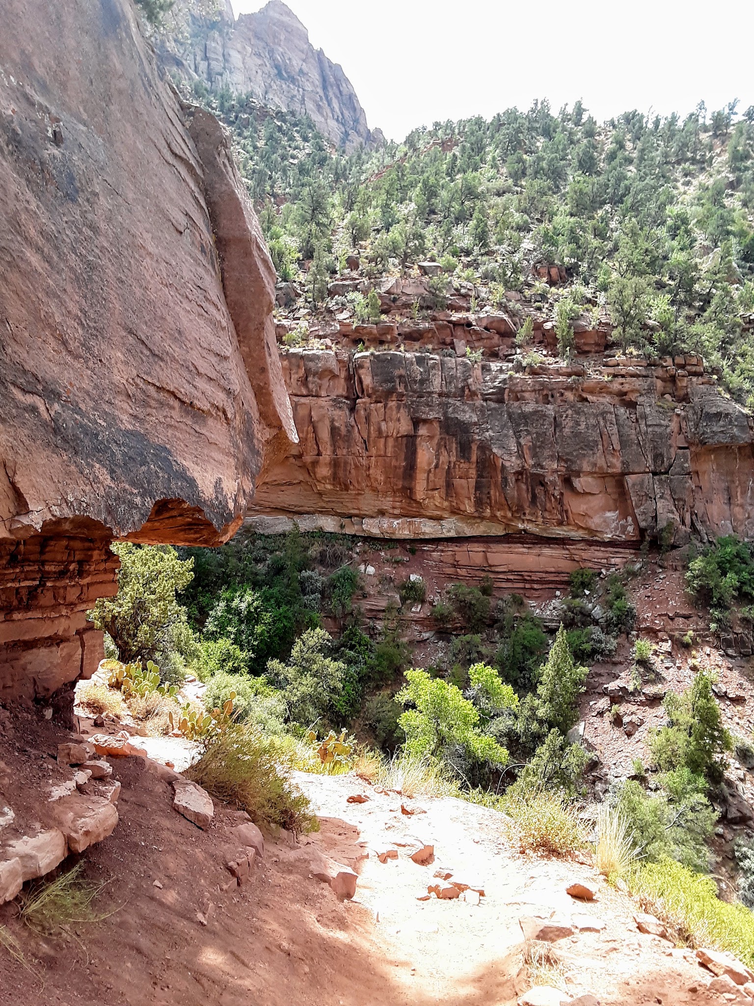 Cycling Zion National Park - Angels Landing