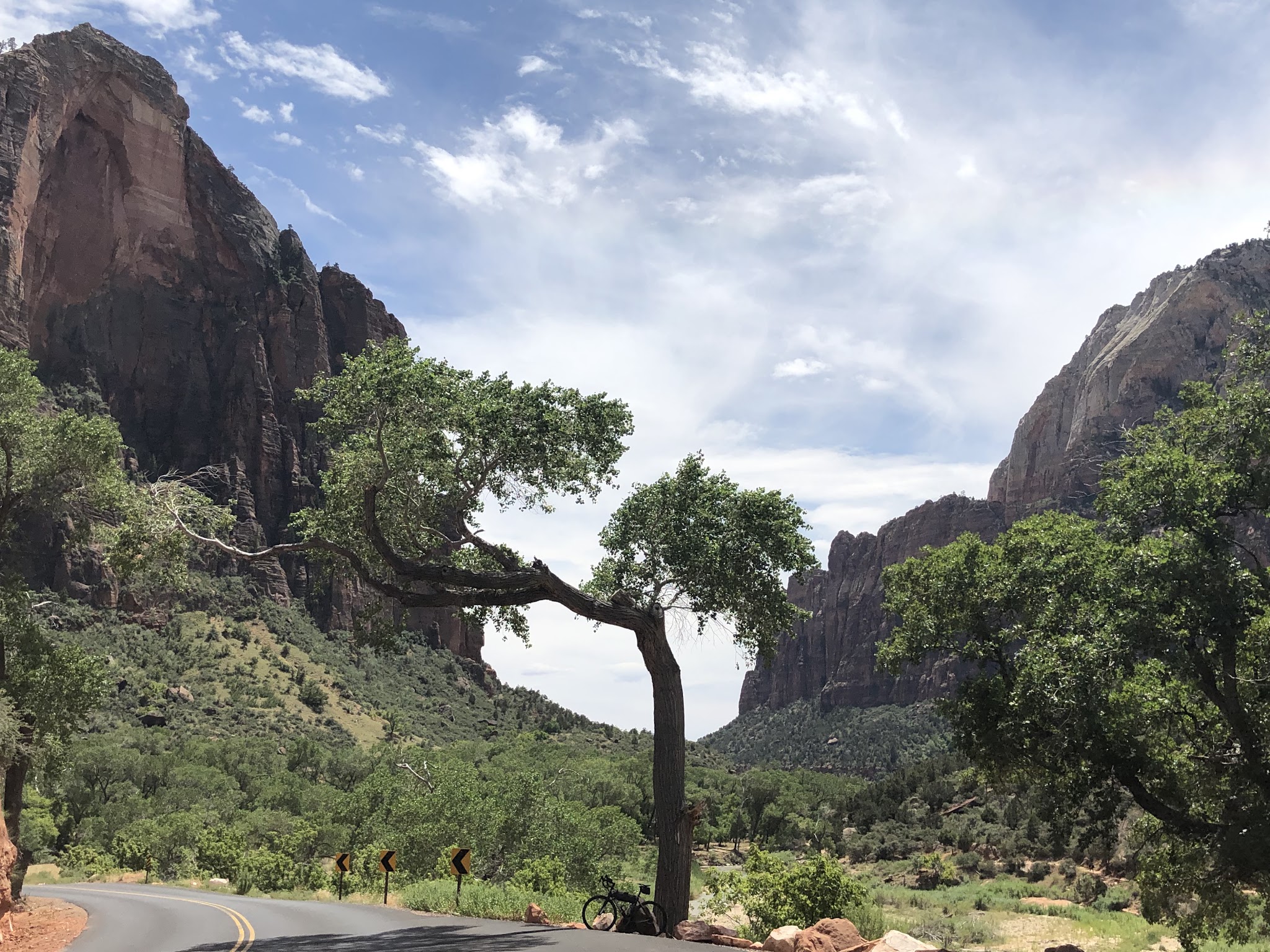 Zion Canyon Scenic Drive Bike ride Zion Canyon Scenic Drive - bike leaning against tree on road with rock formations in background
