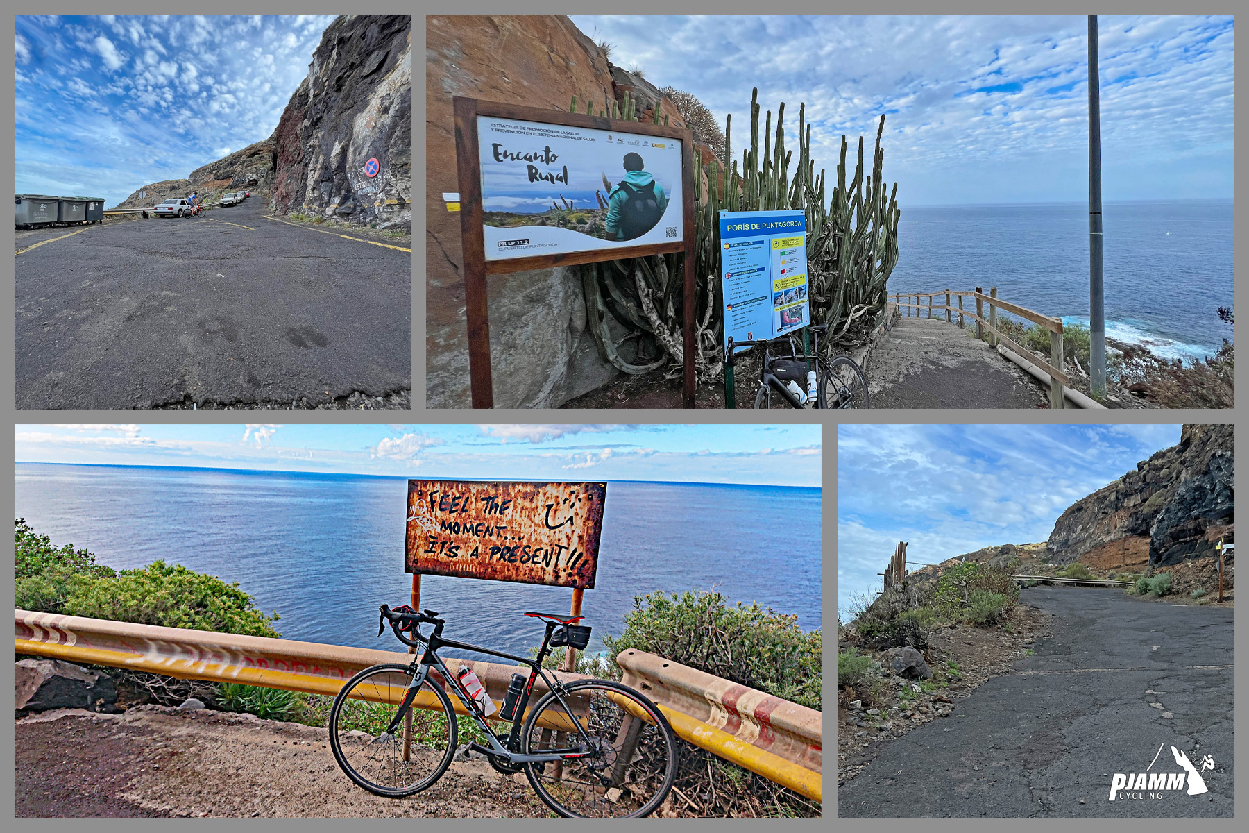 photo collage shows bike parked against guardrail, informational signs next to large cacti, rough roadway, ocean in background