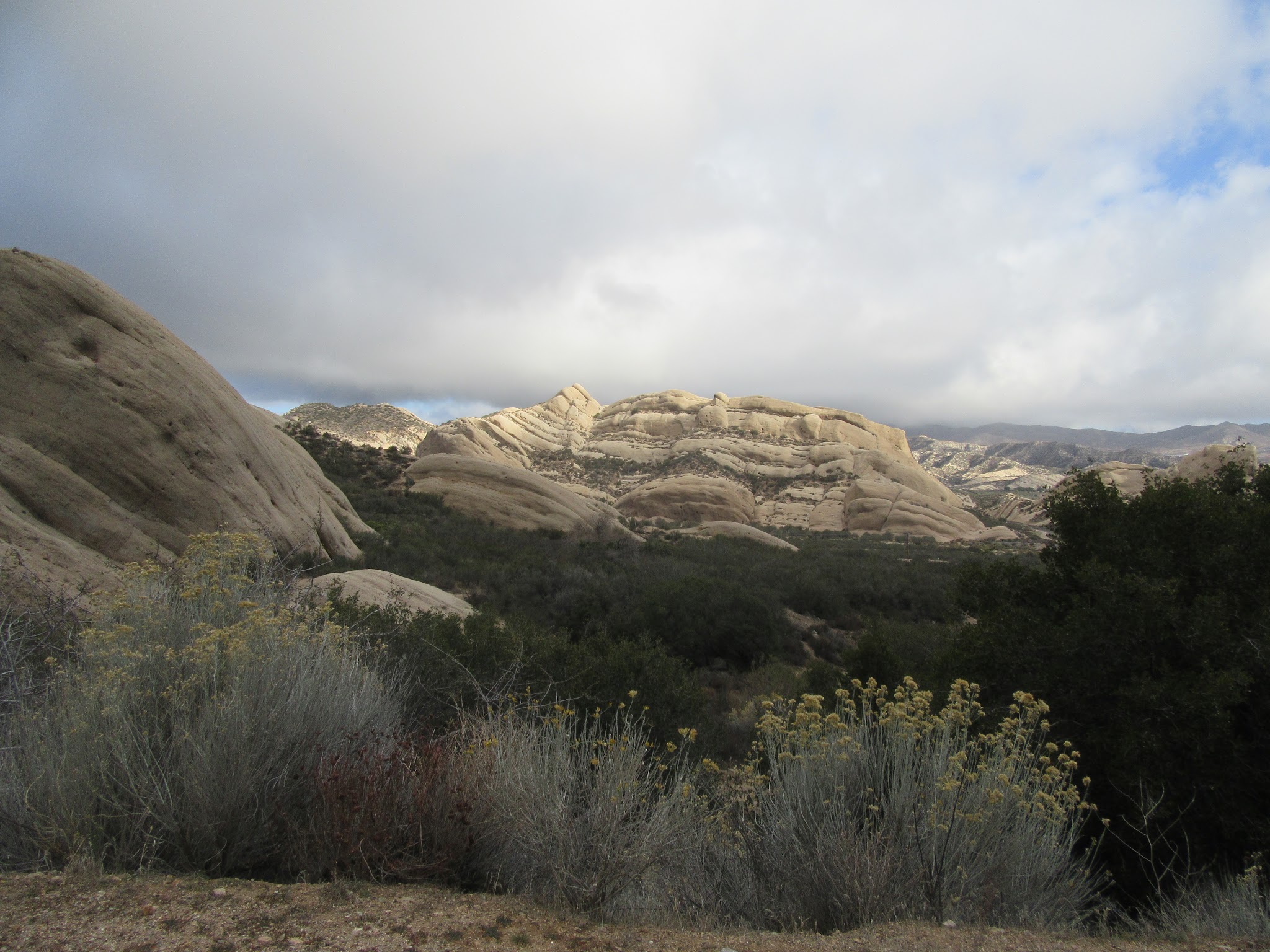 IMG_6868.JPG