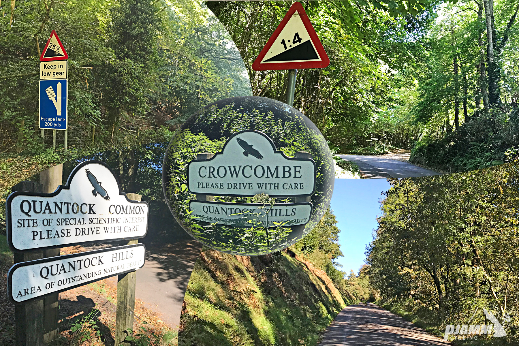 Climbing Crowcombe Comb, Somerset - photo collage, PJAMM Cycling logo in corner, gradient signs noting 1:4, 25% grade, sign for Quantock Common "Site of Special Scientific Interest, Please drive with care" and "Quantock Hills Area of Outstanding Natural Beauty", also white sign with a soaring black bird on it for Crowcomb, narrow one lane road lined with dense forestation