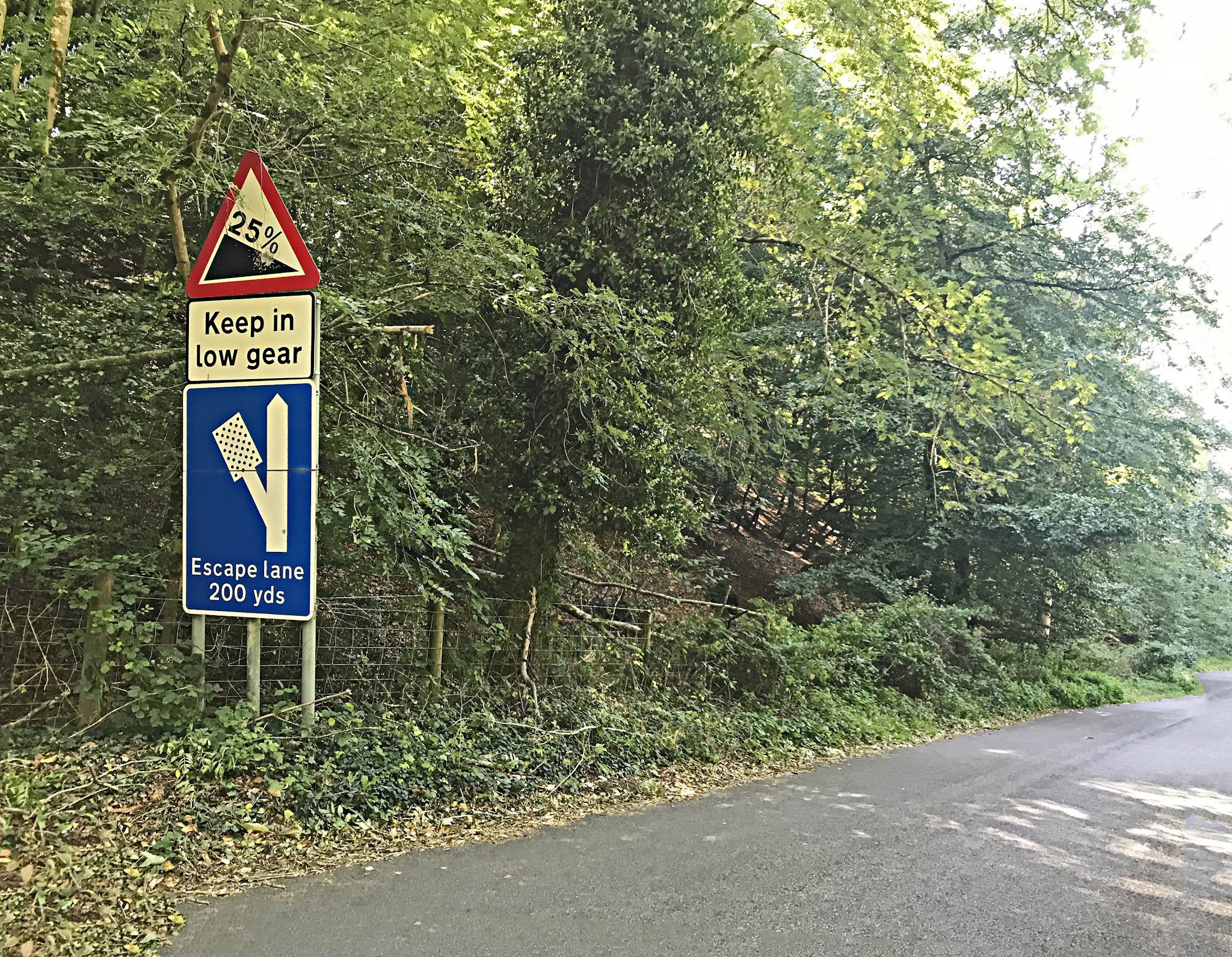 Climbing Crowcombe Comb, Somerset - road gradient sign noting 25% grade, Keep in low gear, dense forestation