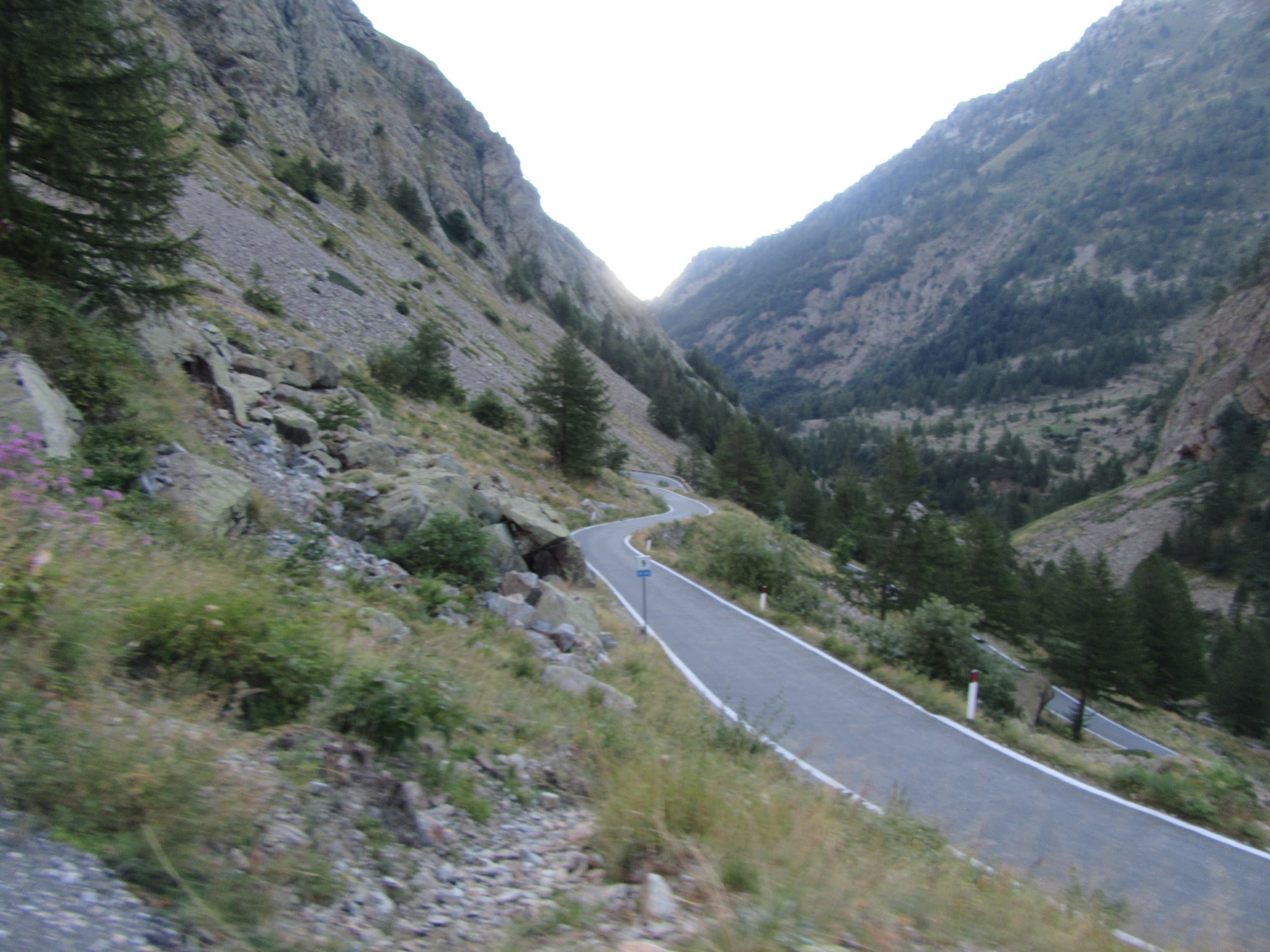 IMG_4638.JPG
