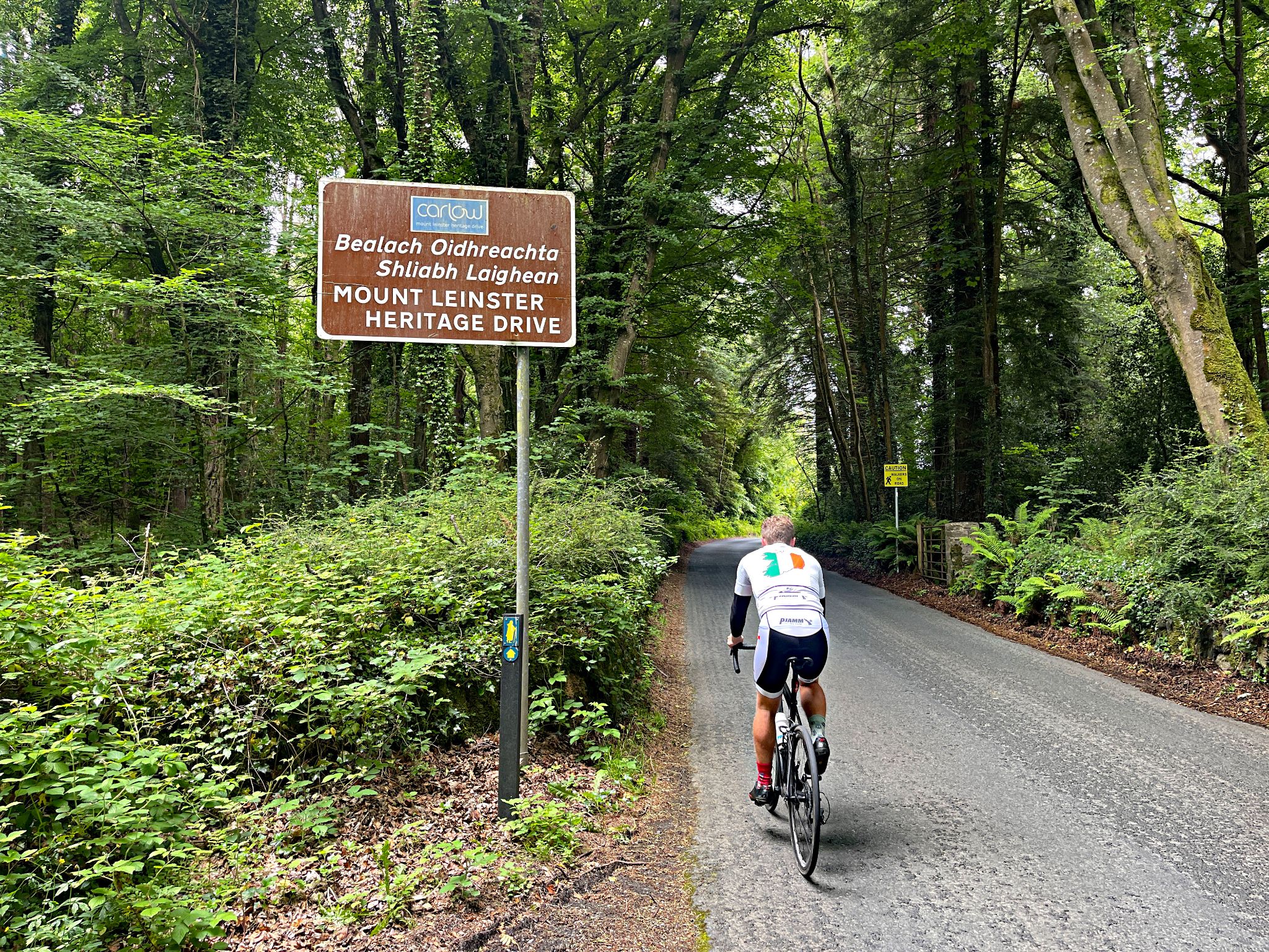 PJAMM Cyclist rides on roadway surrounded by heavy foestation; sign for Mt. Leinster Heritage Drive