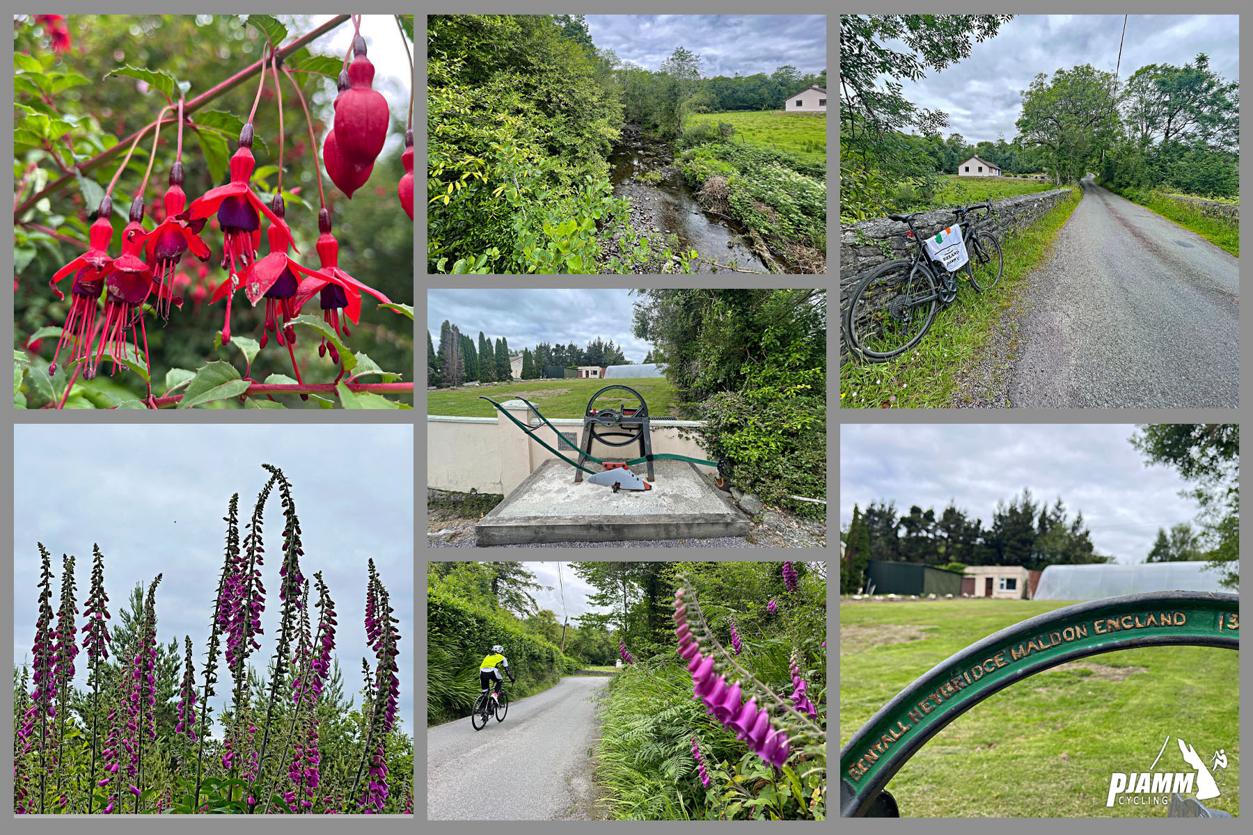 photo collage shows views near the start of the climb, Mill Little Road; wildflowers, greenery, fuchsias