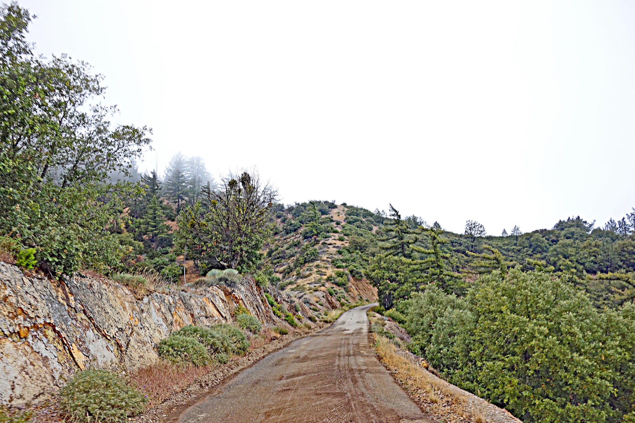 Figueroa Mountain bike climb Narrow road on bike bicycle ride