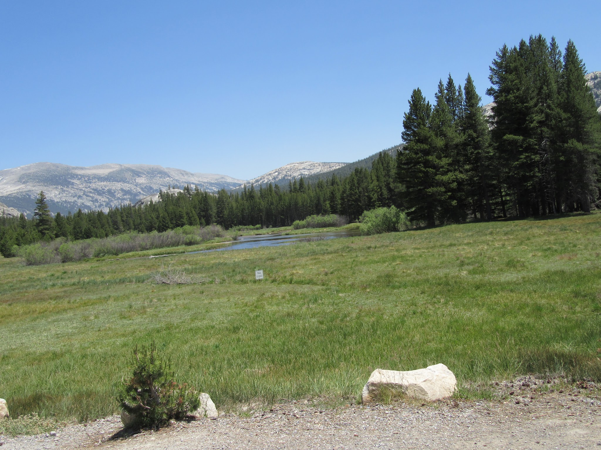 Tolumne Meadows