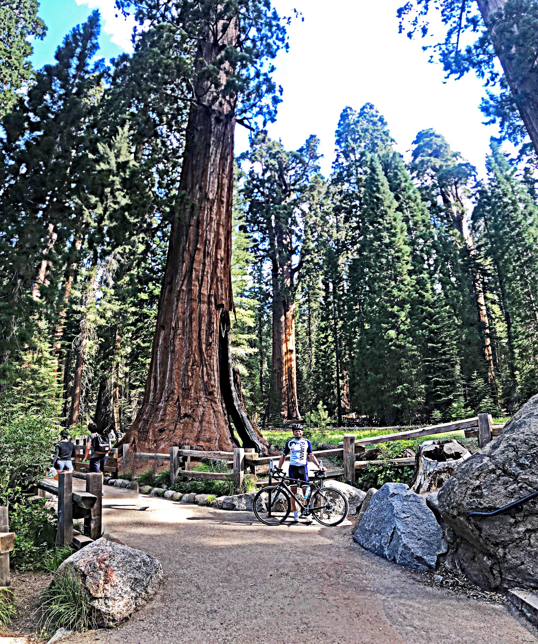 IMG_3209.JPG