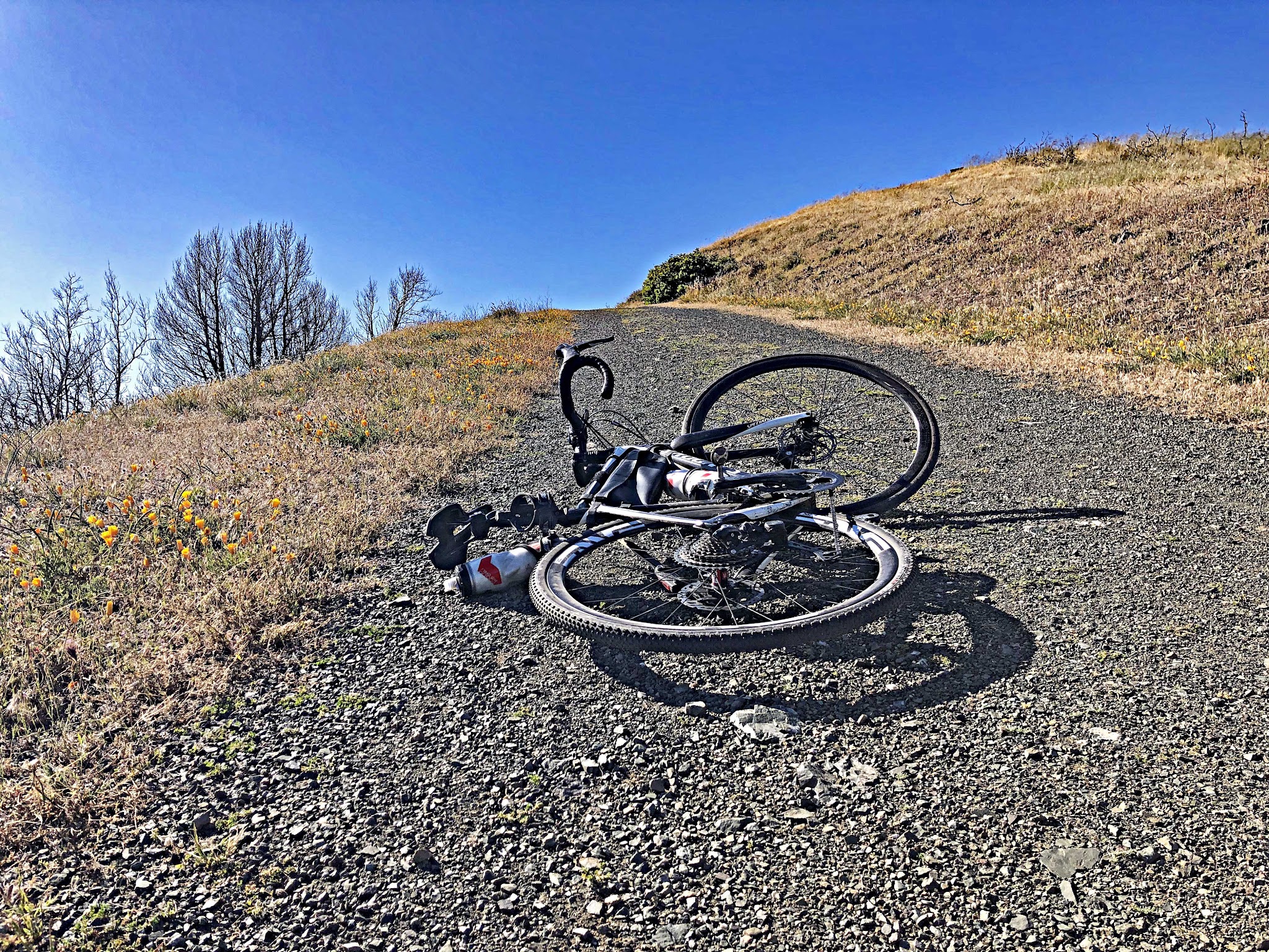 Bald Mountain - The Wall