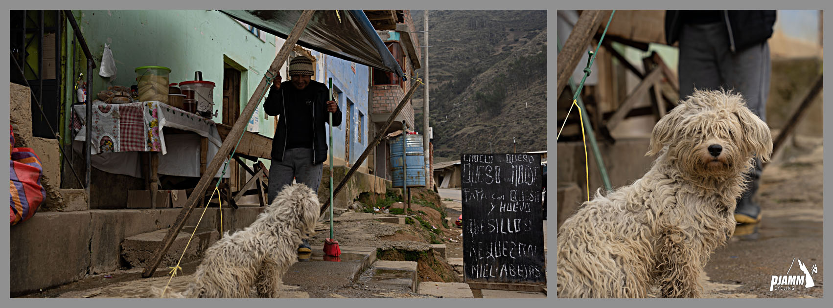 Cycling Punta Callan East, Peru - a small and dirty white raggedy dog poses for its picture