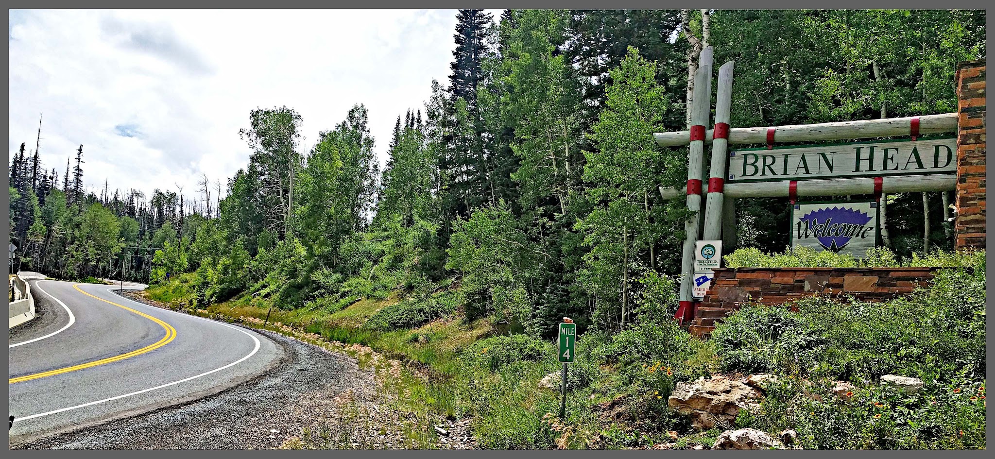 Cycling Hwy 143 - Stacy Topping with bike at Fishlake National Forest sign.