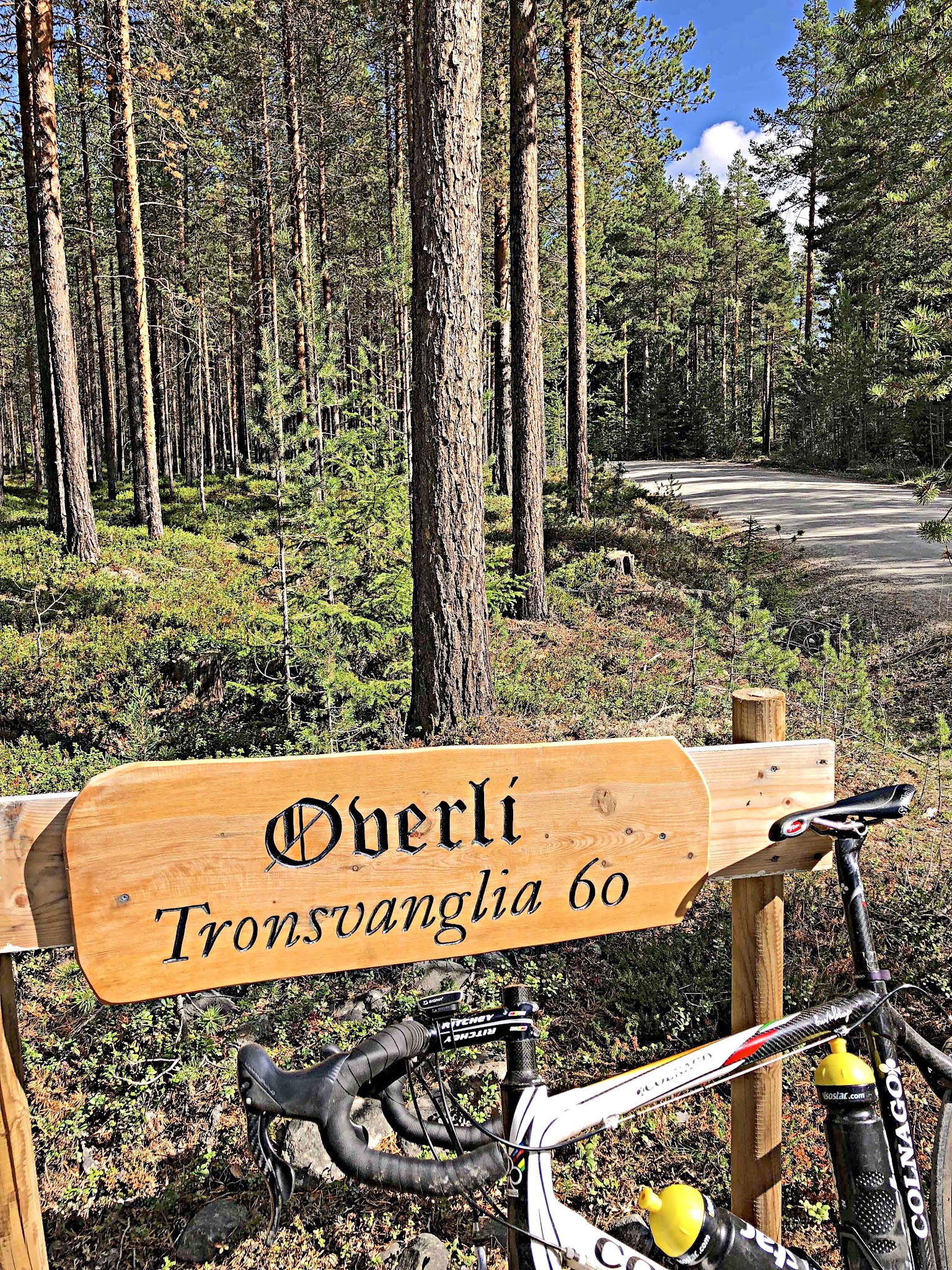 Bicycle ride of Tronfjellet - Tron - road sign, trees and bike