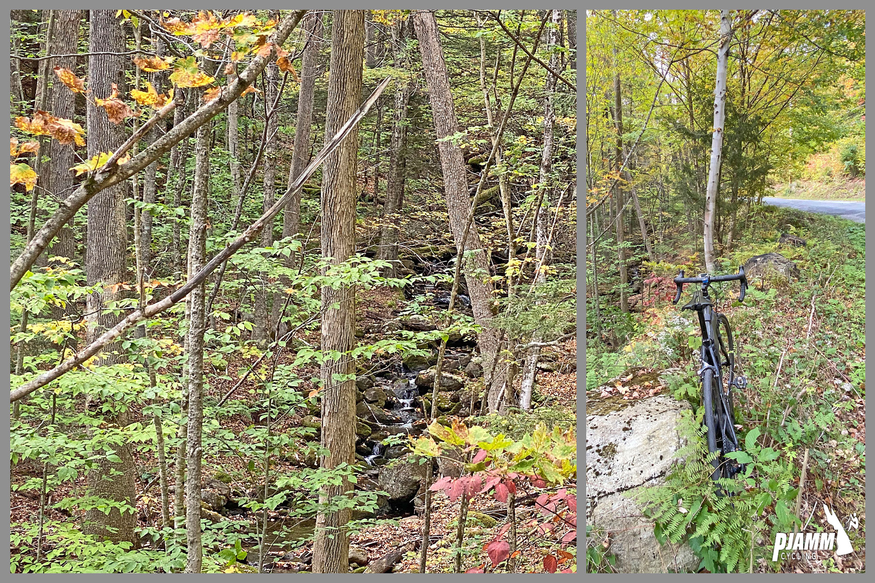 Cycling Kinsley Hill Road, Massachusetts - dense forestation, bike parked on road side, fall foliage, PJAMM Cycling logo in corner