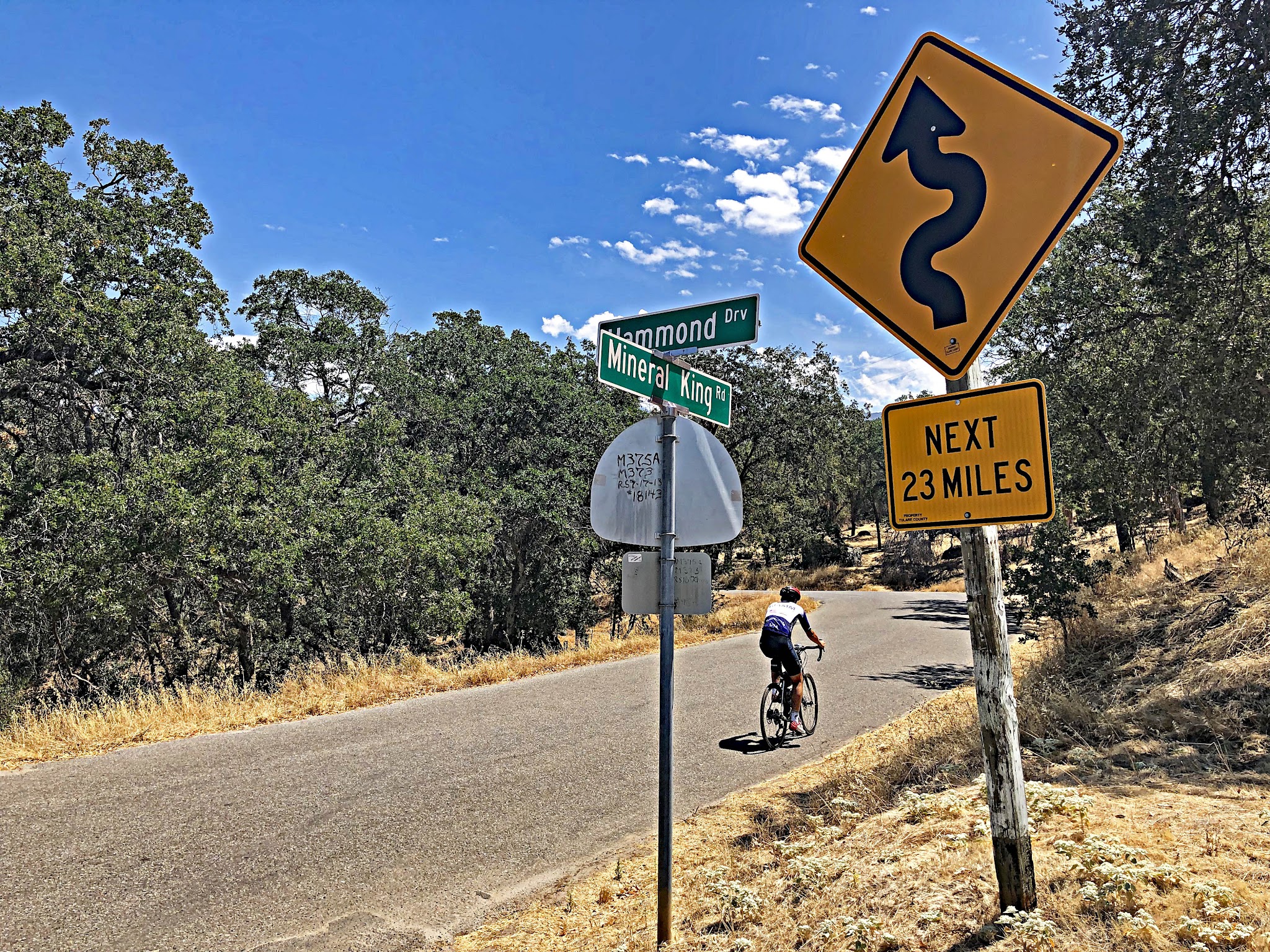 Beginning of the Mineral King bike climb - roadway sign for Mineral King Road.