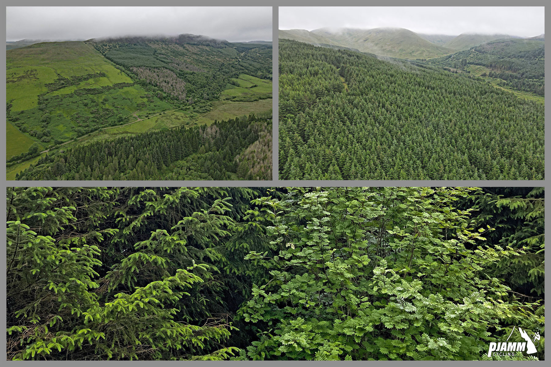 aerial drone views of dense, green forestation along the climb route