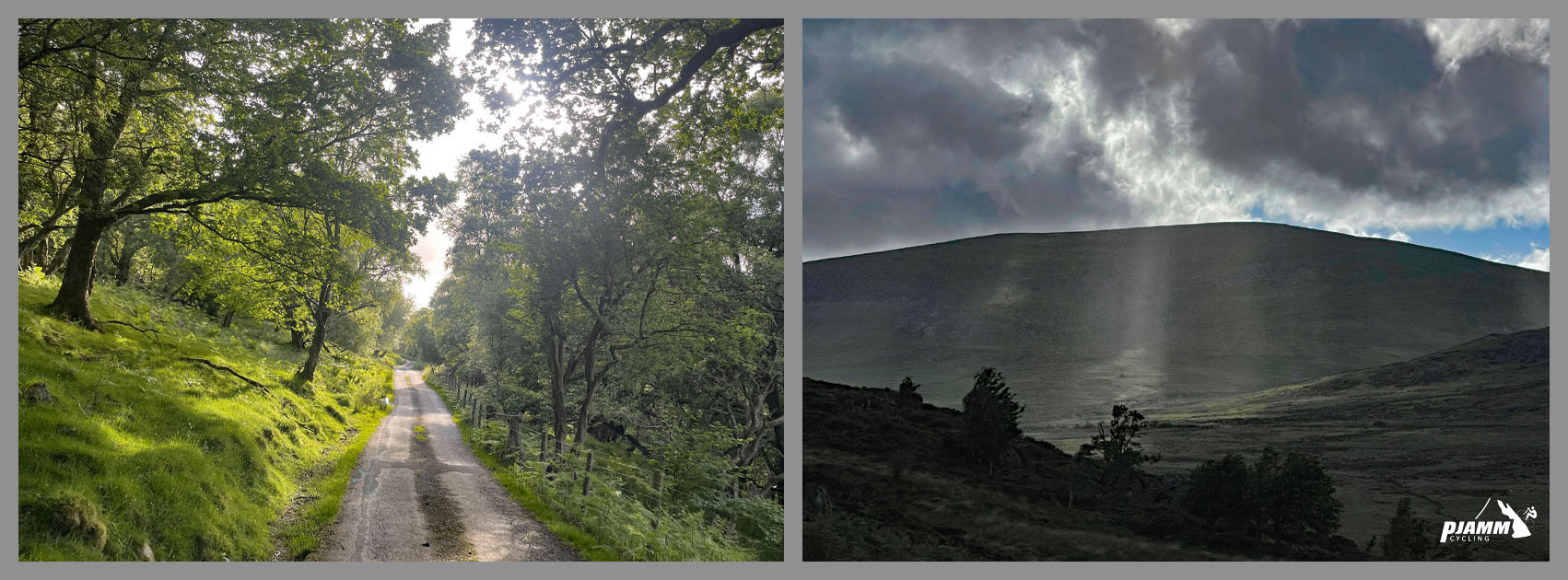 sun streaming down through trees on climb