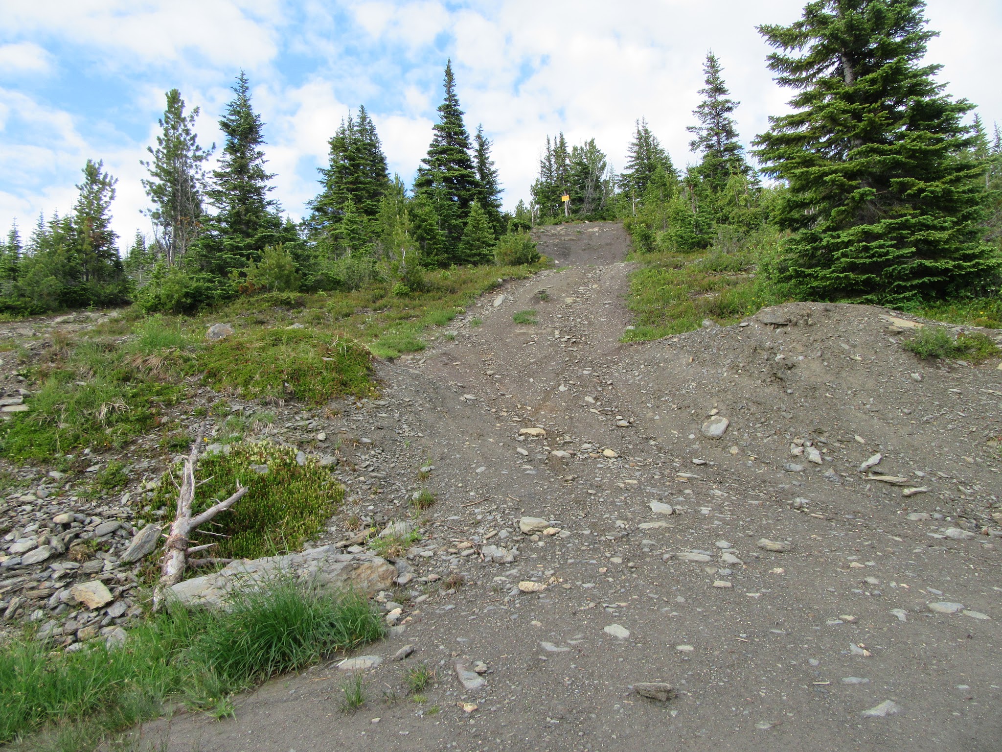 IMG_2235.JPG