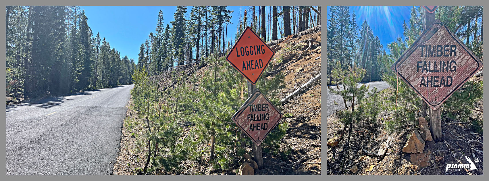 signs reading "Logging Ahead" and "Timber Falling Ahead"