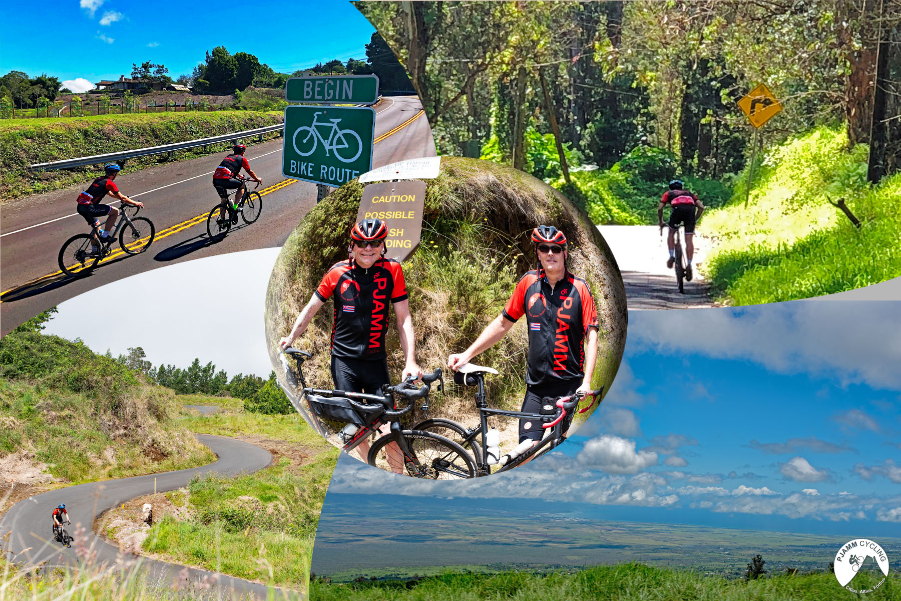 Bicycle climb of Waipoli Road - cyclist and bike sign at start of Waipoli Rd