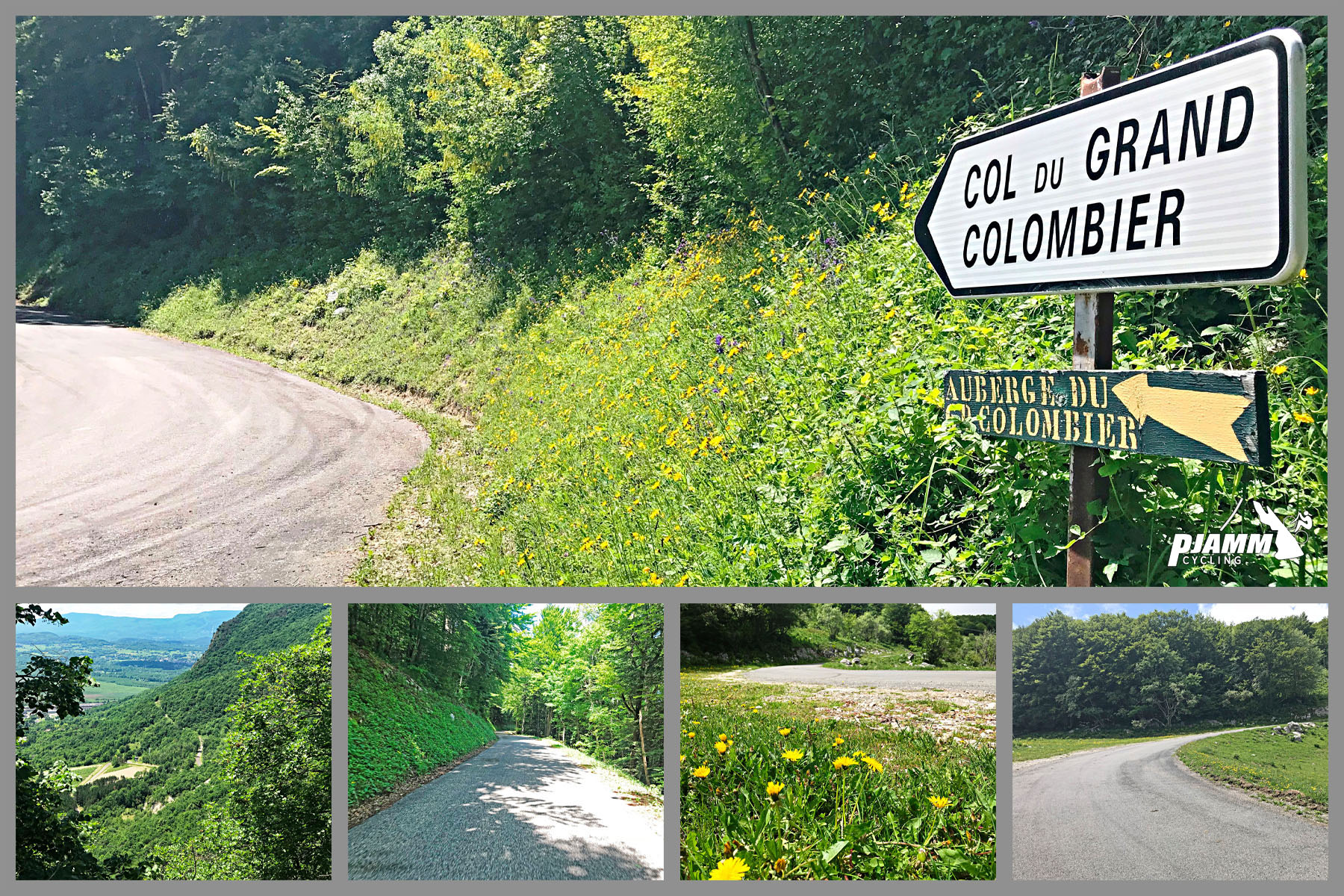 photo collage shows lots of green grasses and trees along roadway, yellow wildflowers, sign for Col du Grand Colombier