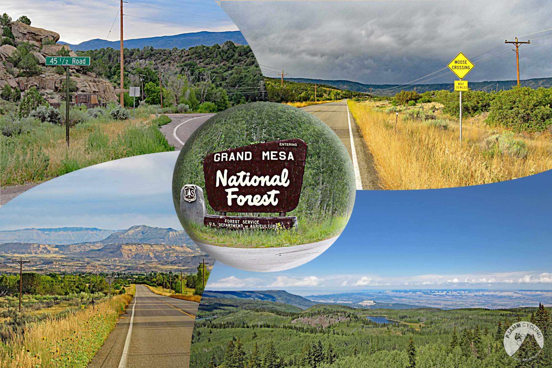 Cycling Grand Mesa North - photo collage, PJAMM Cycling logo in corner, NPS service sign for Grand Mesa National Forest, road sign for 45 1/2 Road, view of straight two-lane road headed toward mountains, road sign for Moose Crossing, views of forested lands