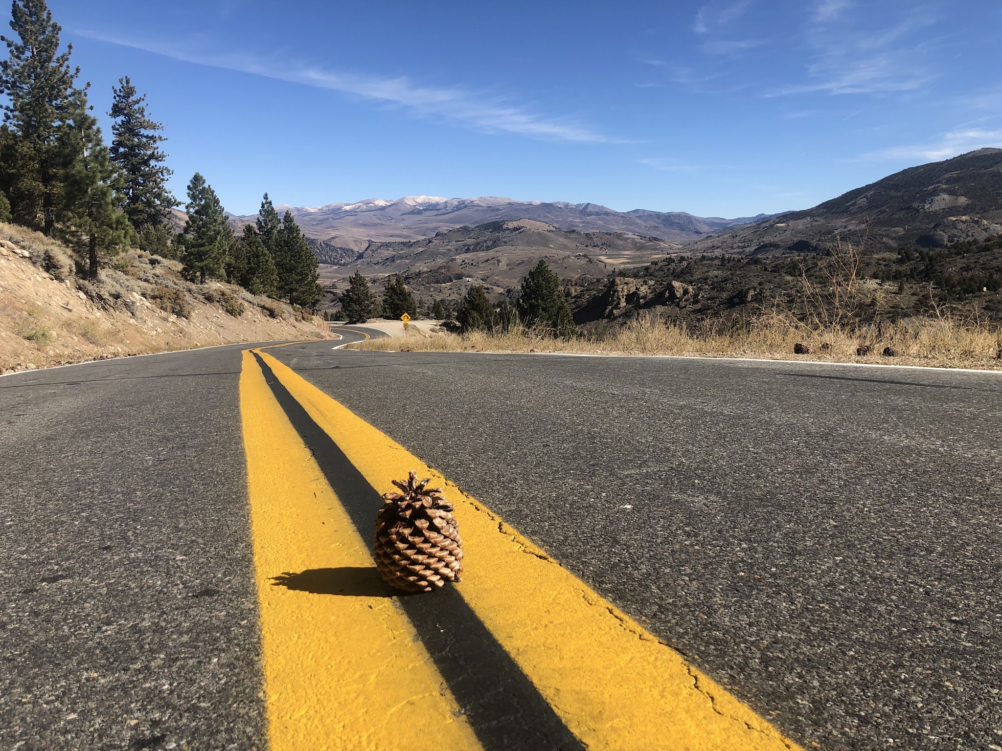 Sonora Pass West