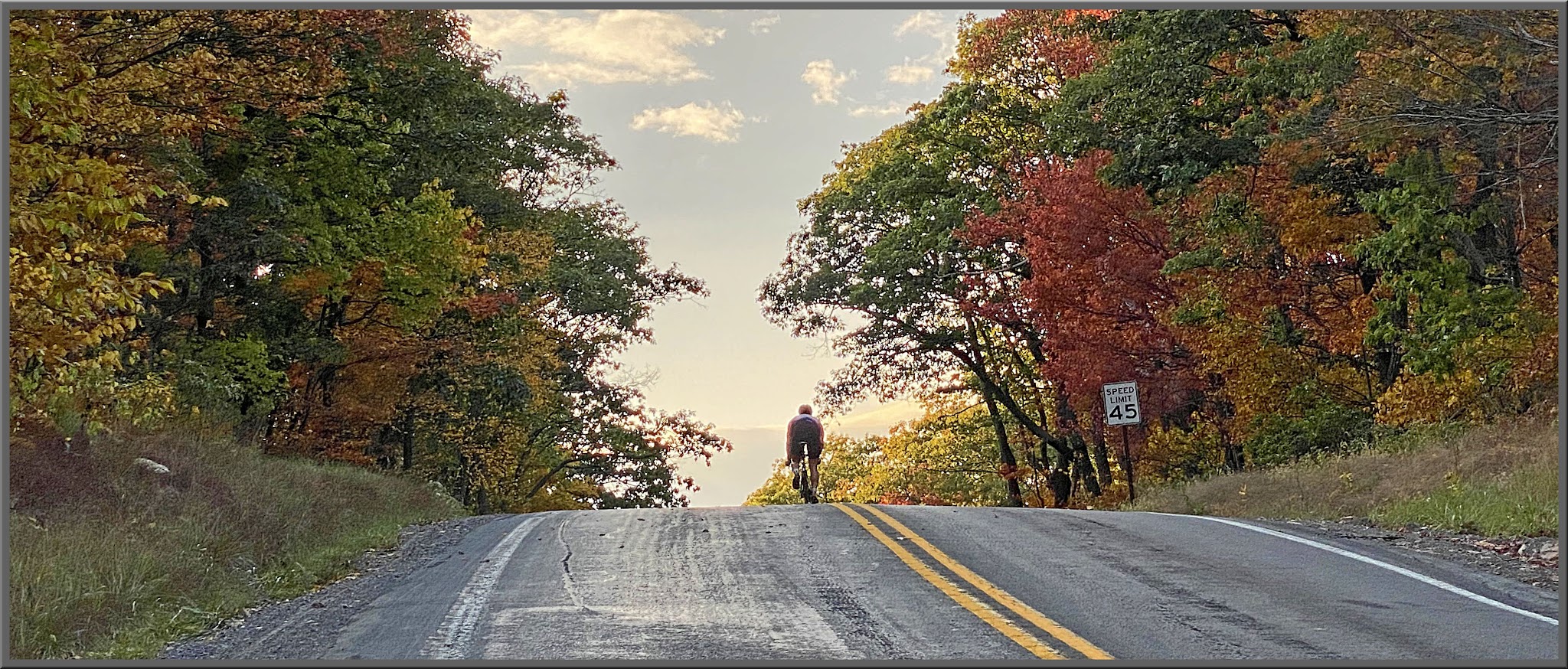 Cycling Route 44 East, Pennsylvania - cyclist rides on two-lane road toward horizon, surrounded by fall foliage