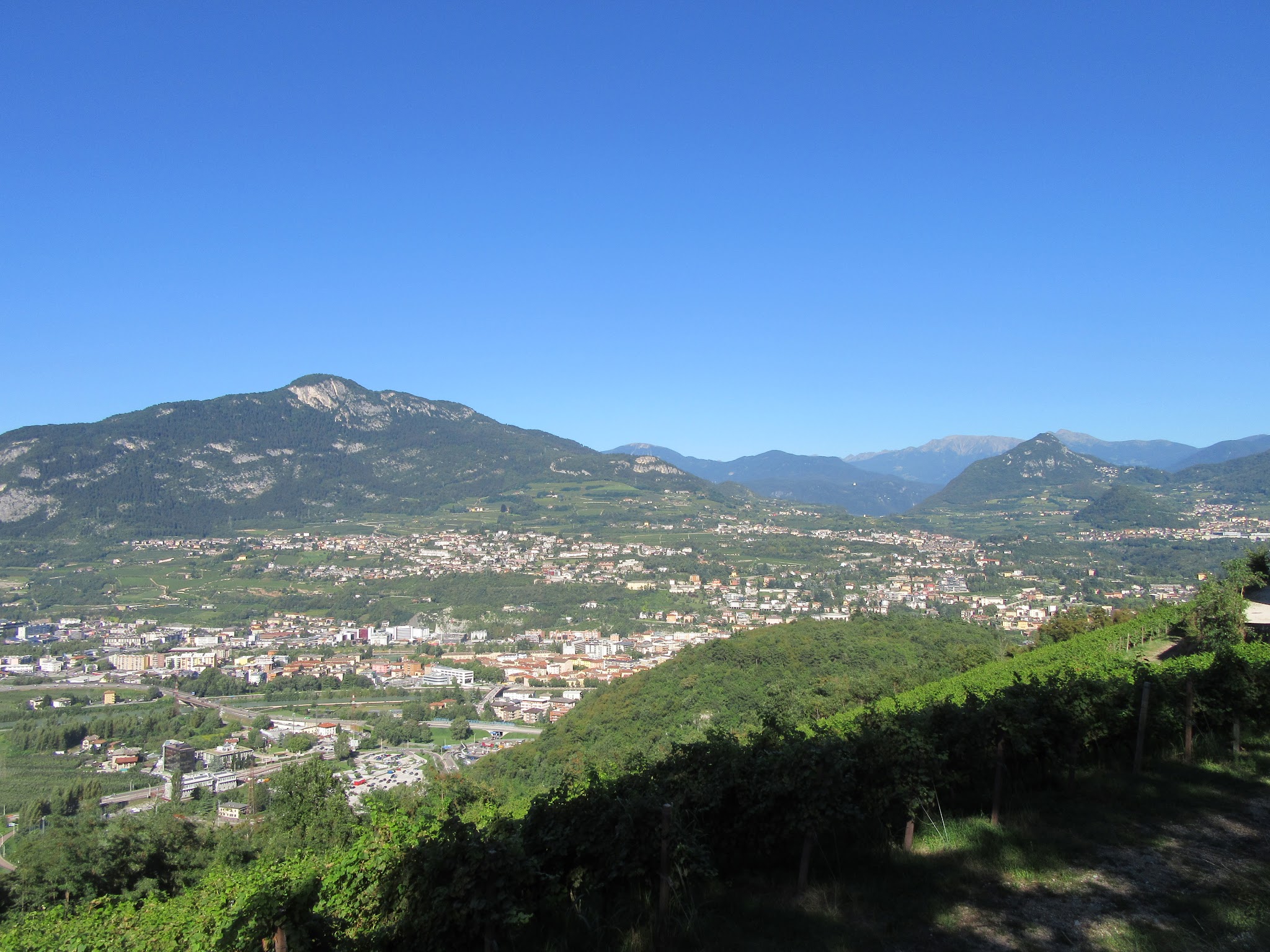 IMG_4951.JPG