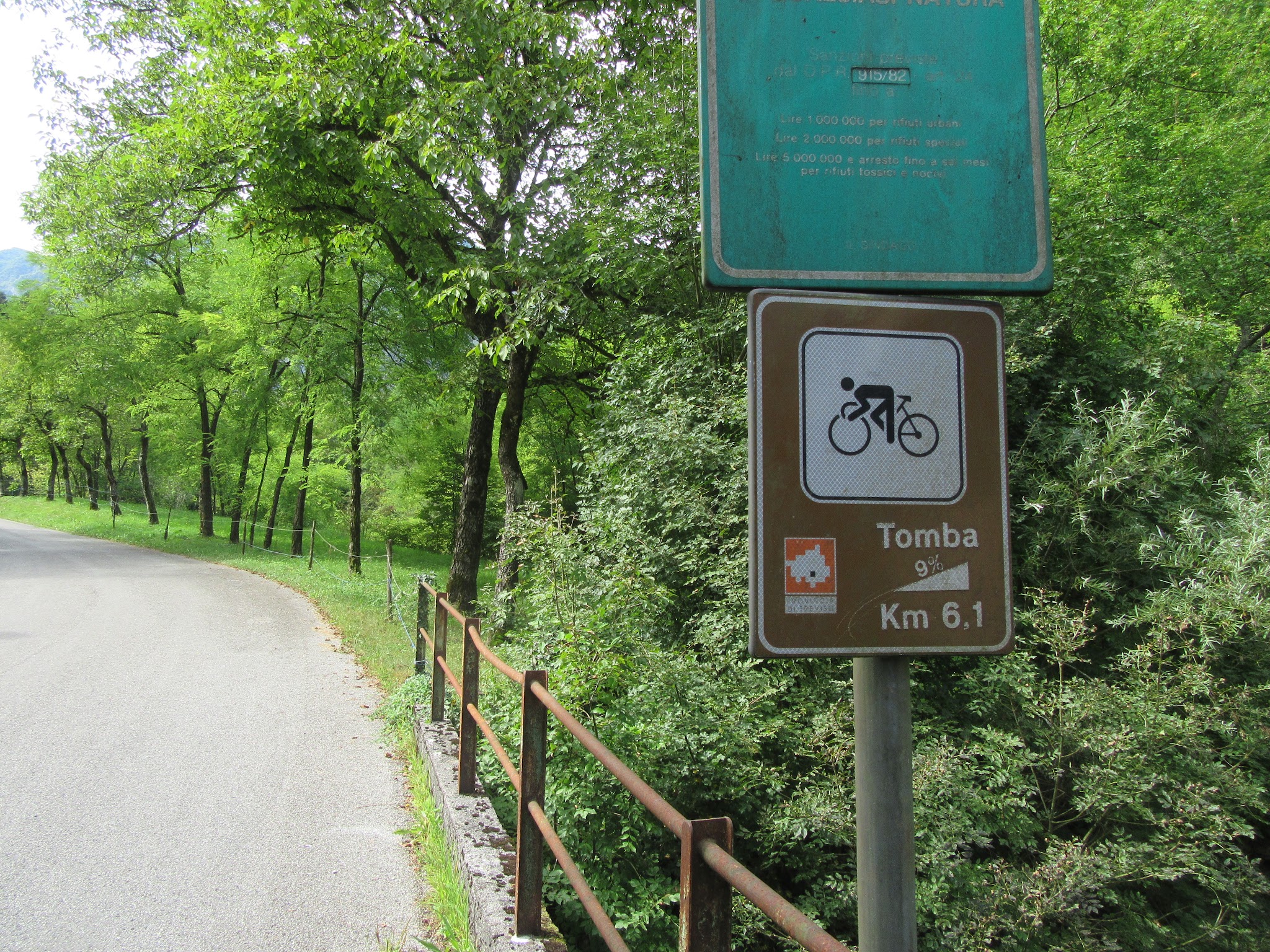 IMG_6774.JPG