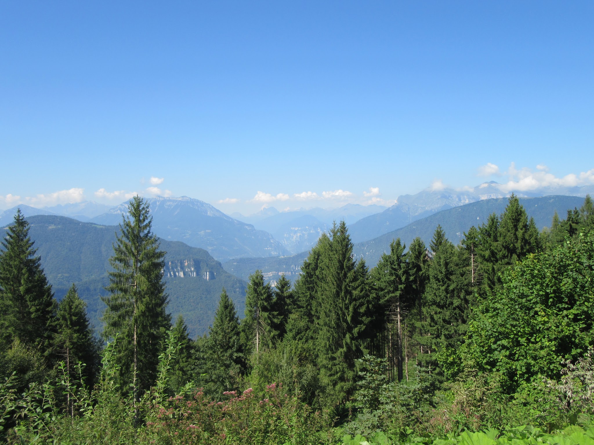 IMG_5809.JPG