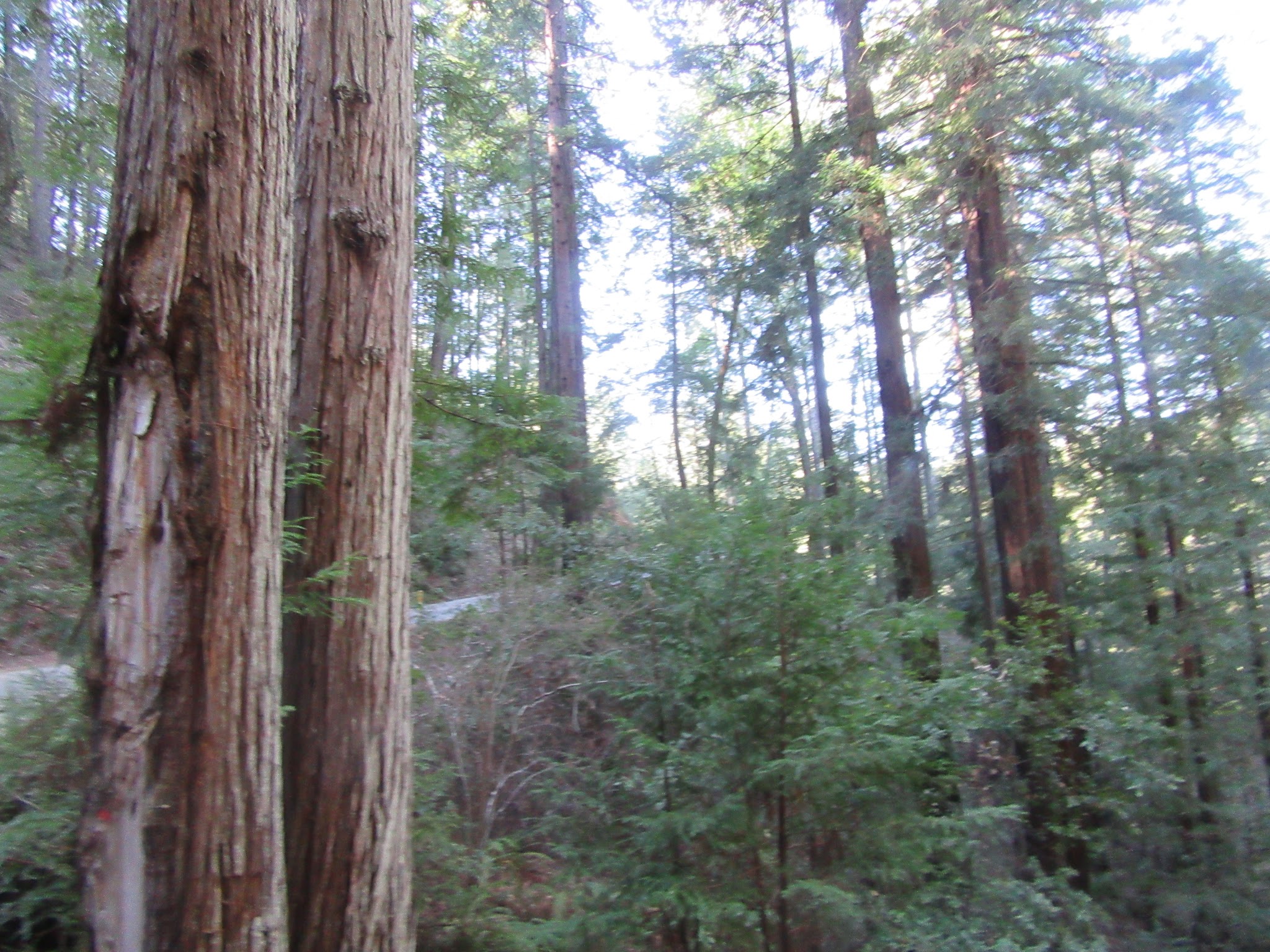 IMG_8075.JPG