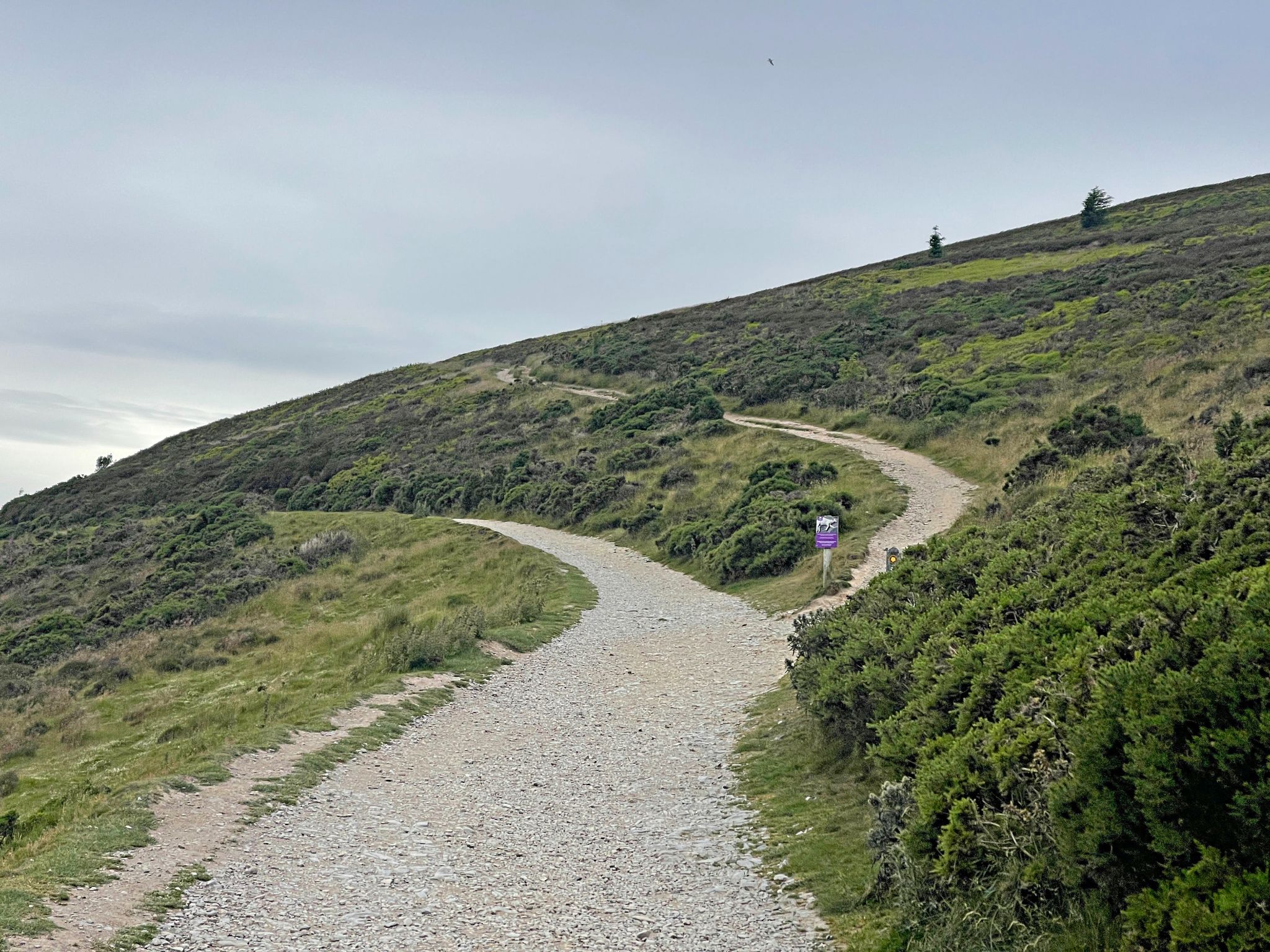 gravel hiking trail to Jubilee Tower