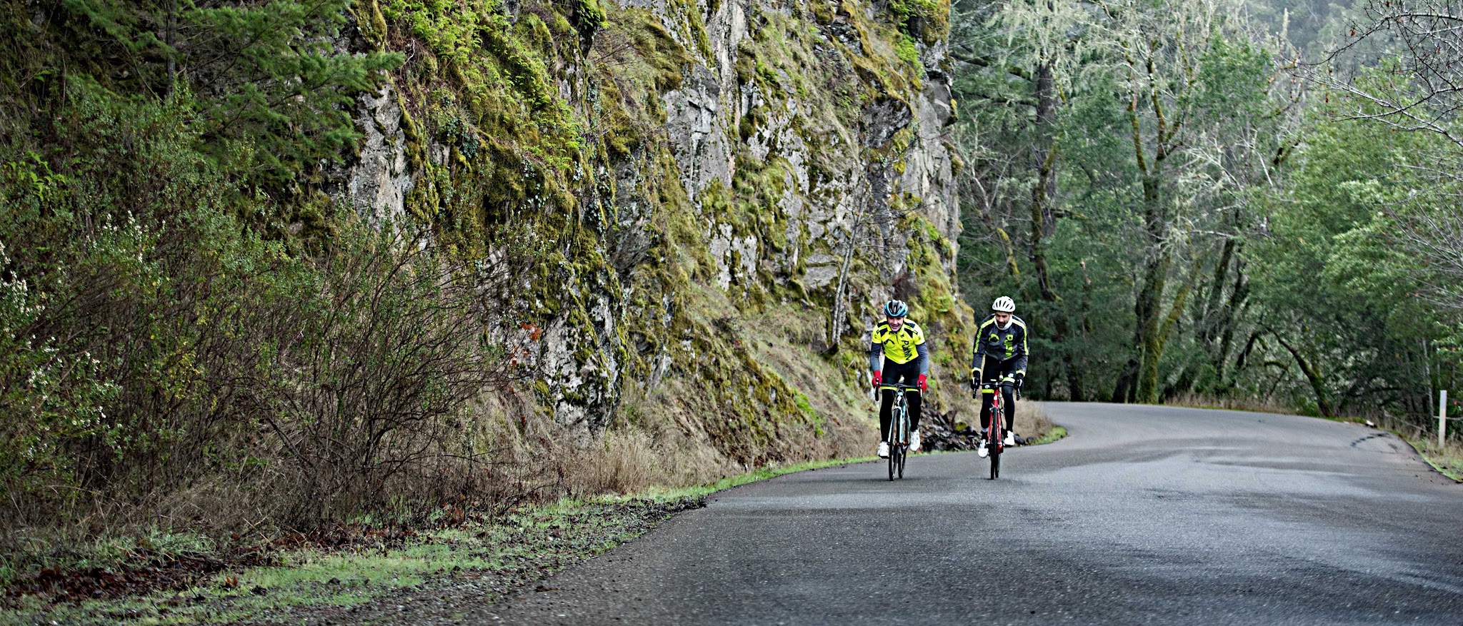 Climbing Pine Flat Road by bike - cyclist on road 