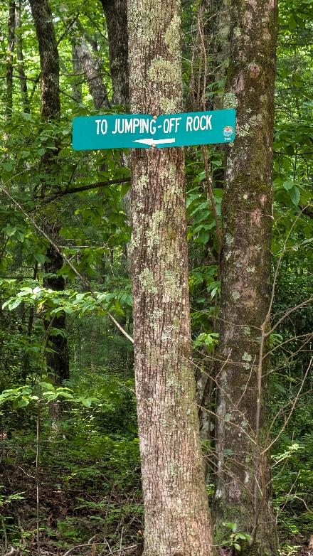 A sign on a tree

Description automatically generated